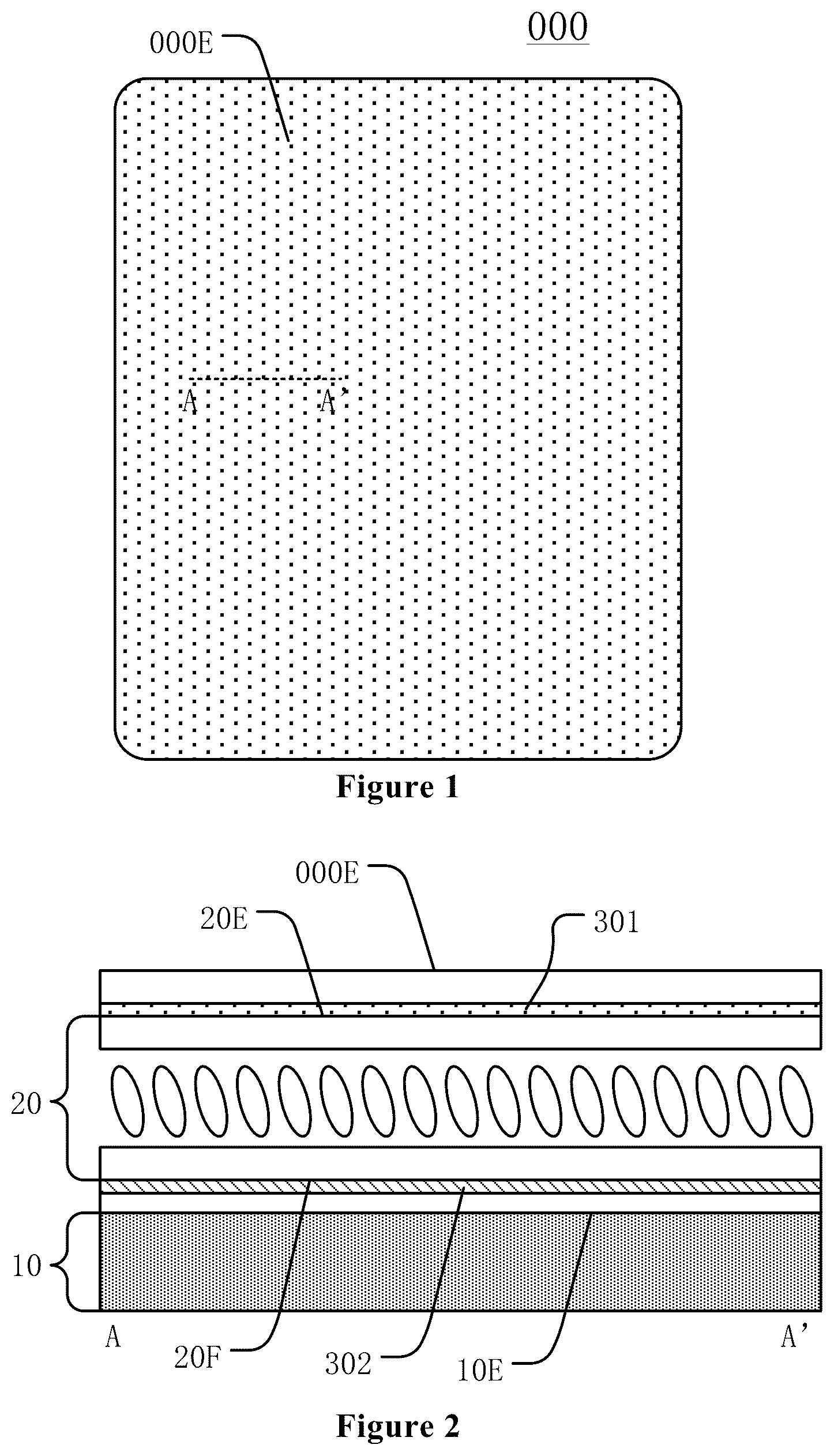 Patent US12339539 Figure 1 – Display module and display device
