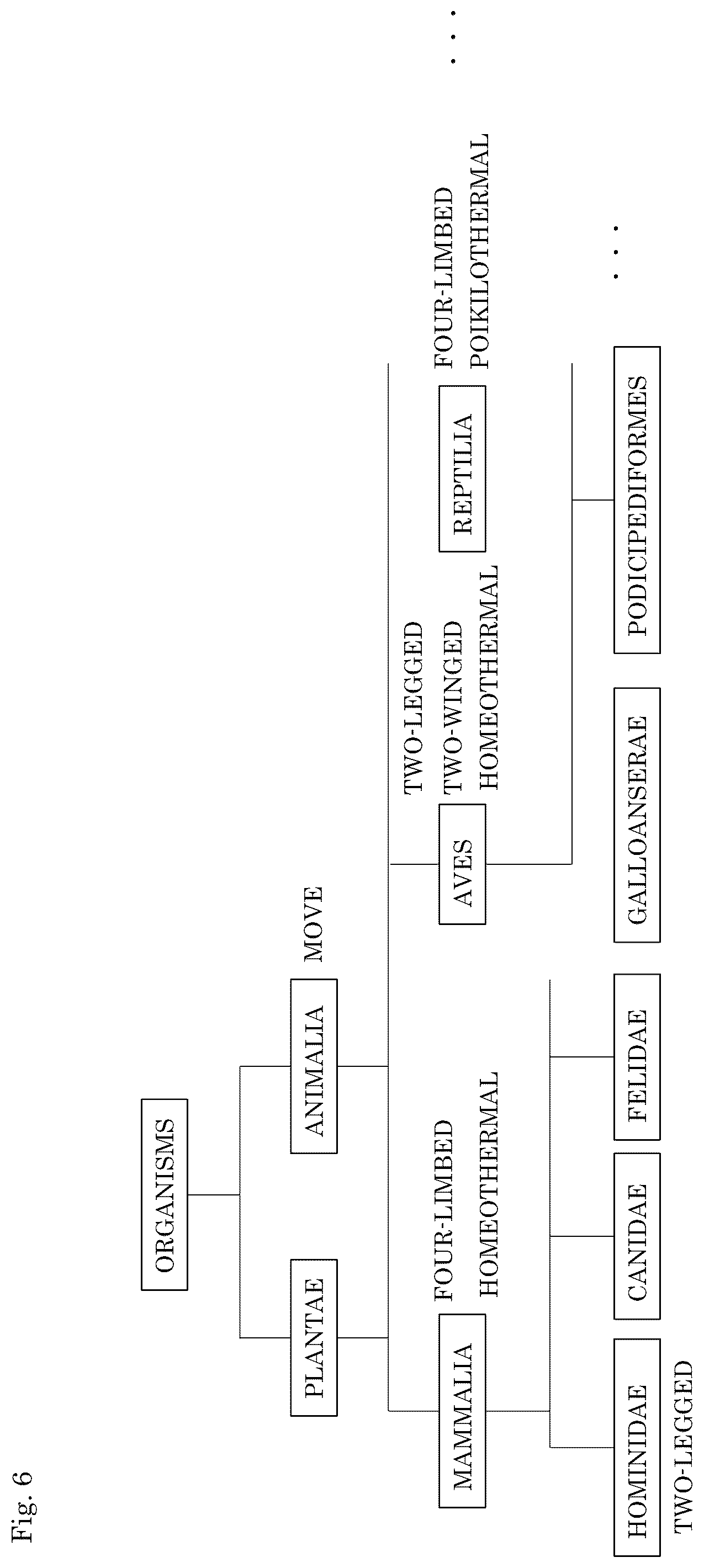 Patent US12339932 Figure 6 – Classification system