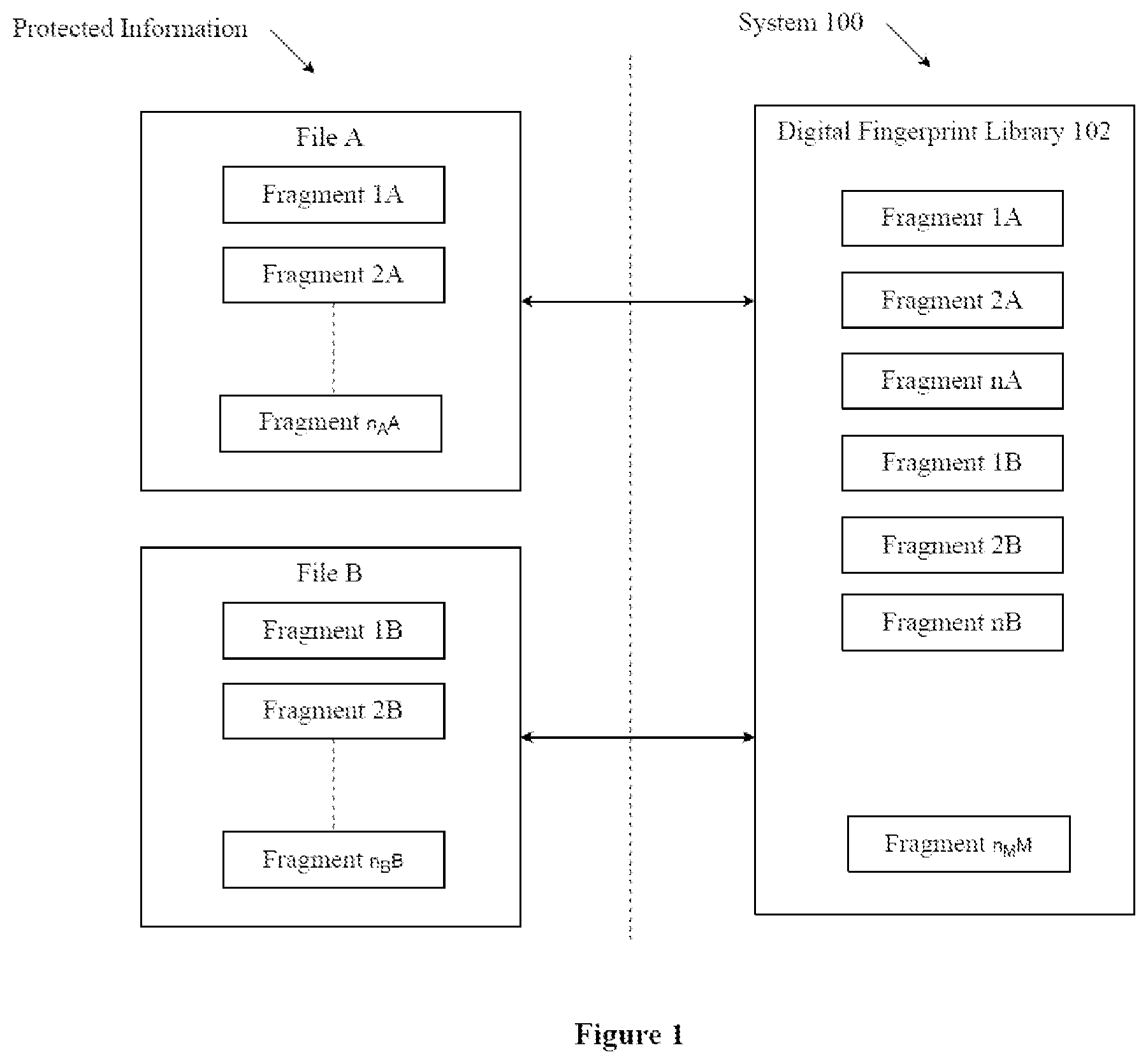 Patent US12339989 Figure 1 – System and method for creating a digital fingerprint library