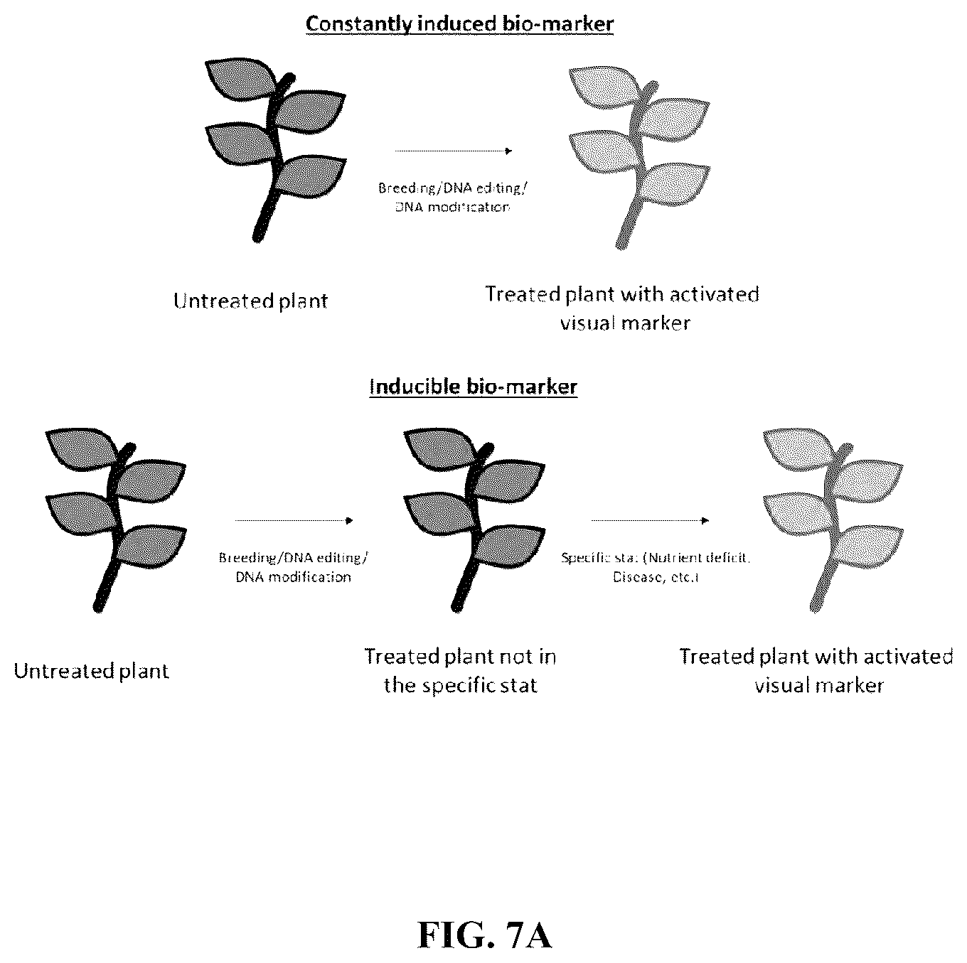 Patent US12342746 Figure 7 – System and method for real-time crop management