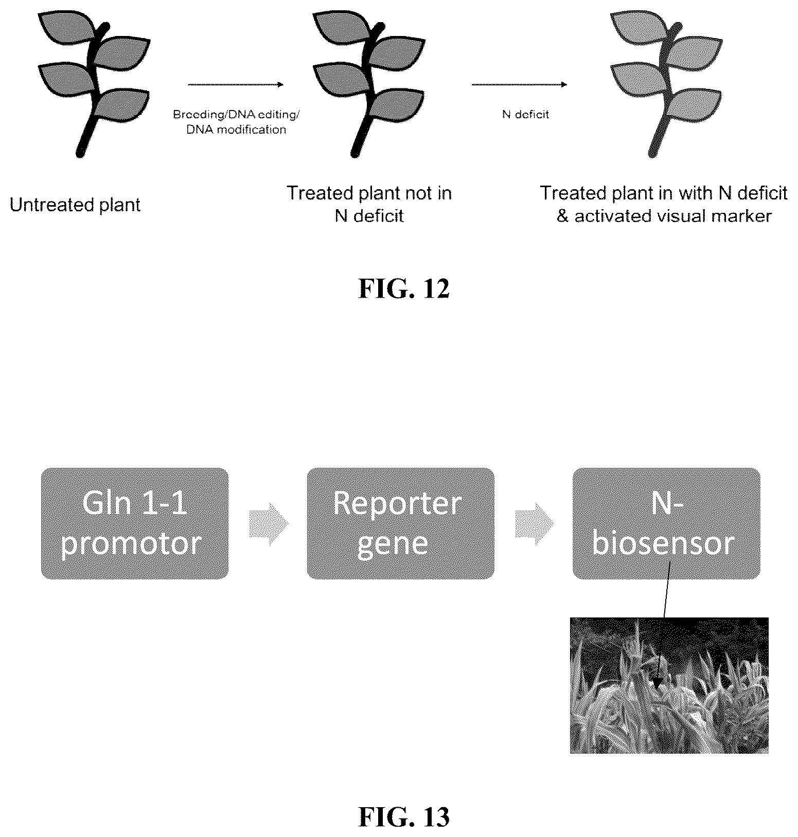 Patent US12342746 Figure 13 – System and method for real-time crop management