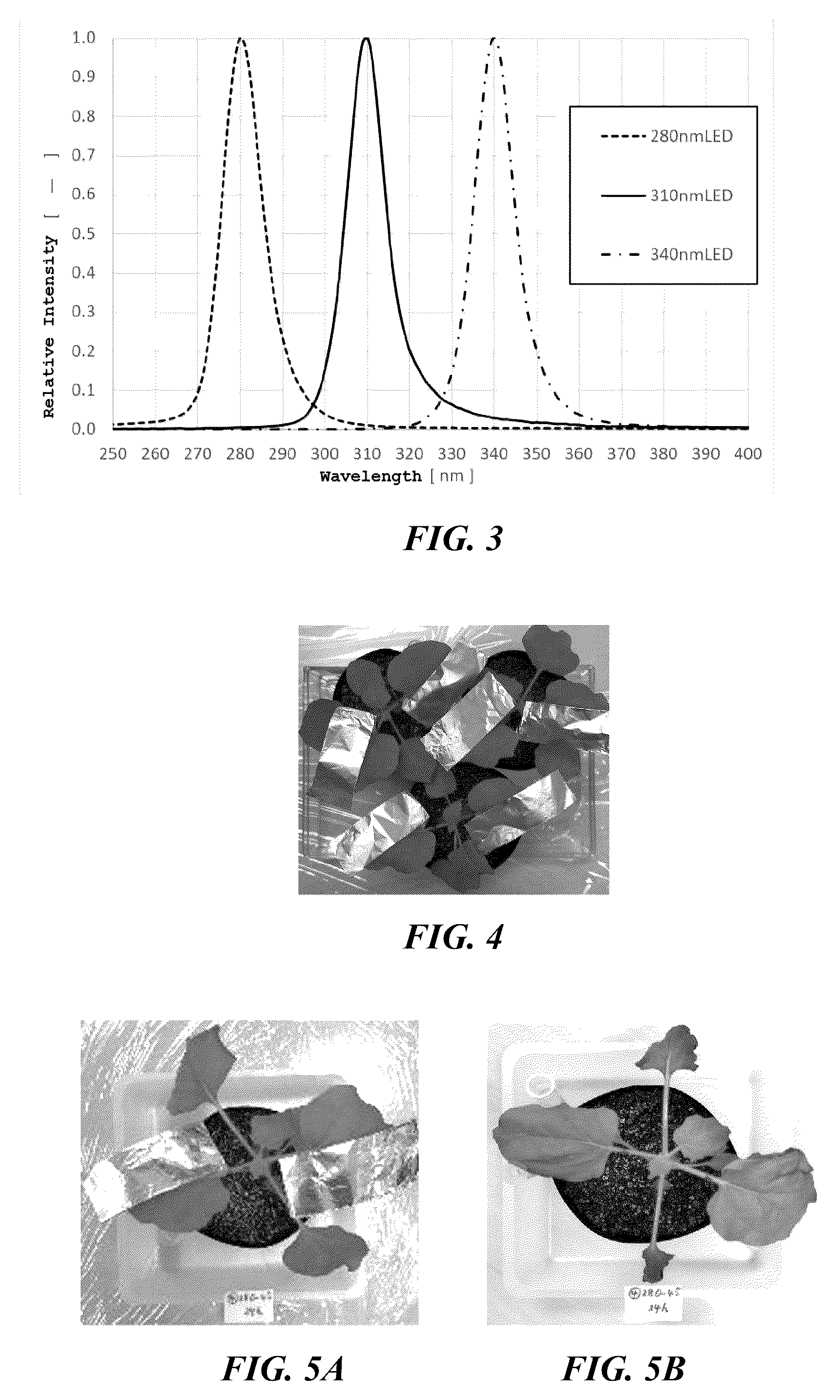Patent US12342773 Figure 2 – Method of treating plant, method of producing plant infected with microorganism, method of producing fermented plant product, and plant treatment apparatus