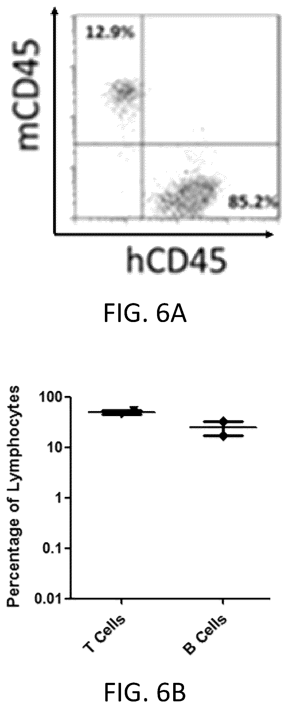 Patent US12342800 Figure 6 – Immunodeficient non-human animal