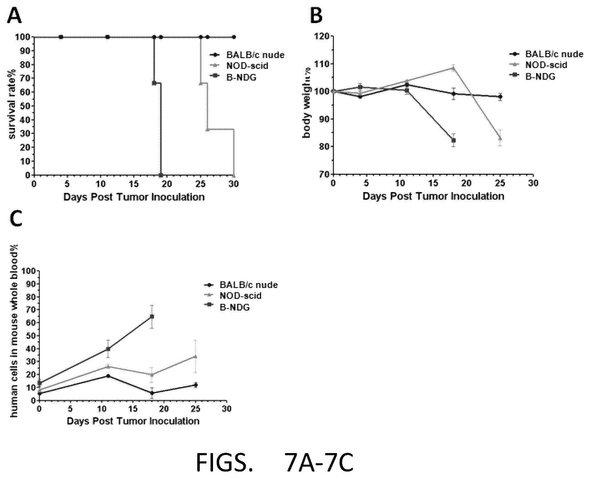 Patent US12342800 Figure 7 – Immunodeficient non-human animal