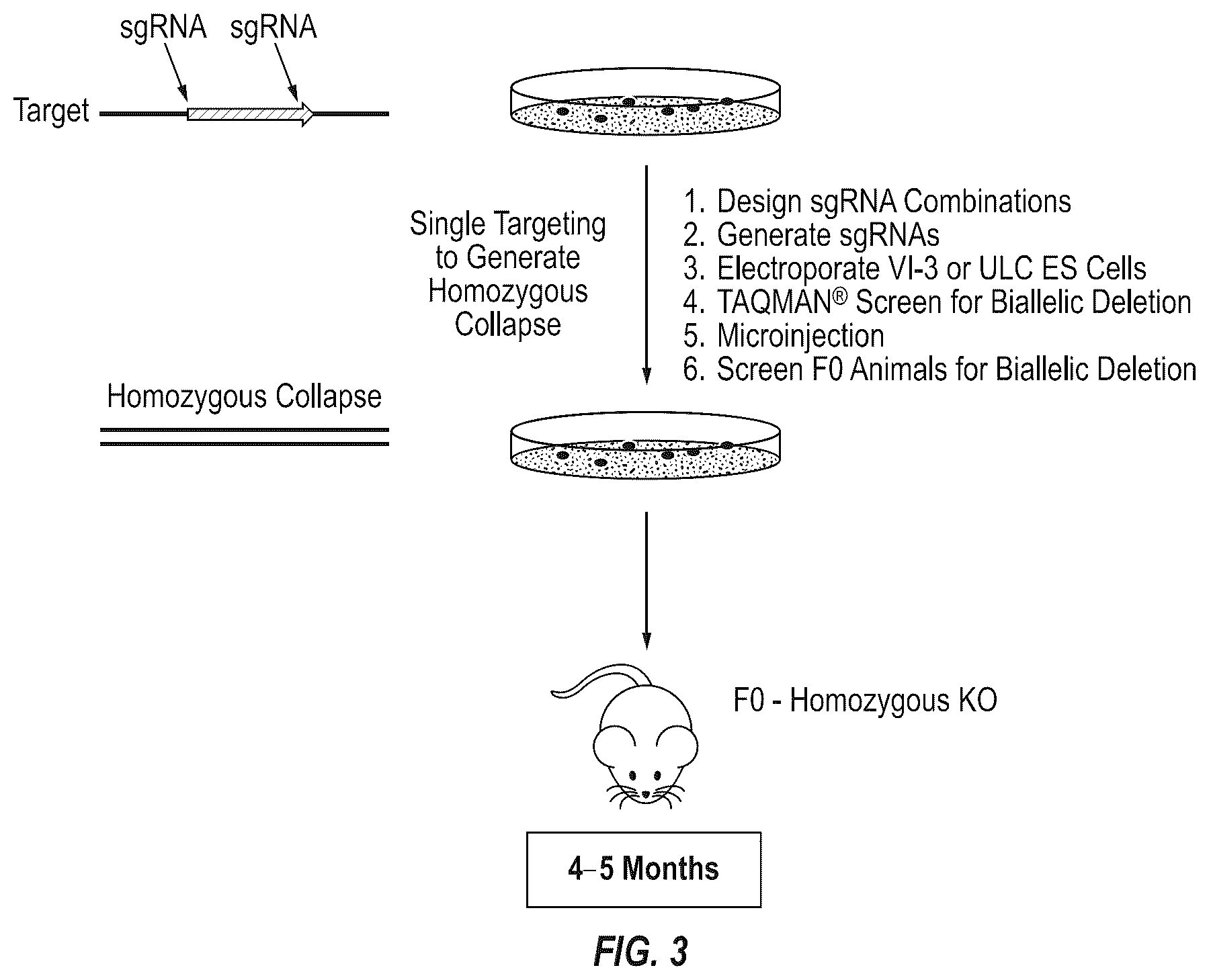 Patent US12342801 Figure 3 – Methods for producing antigen-binding proteins against foreign antigens