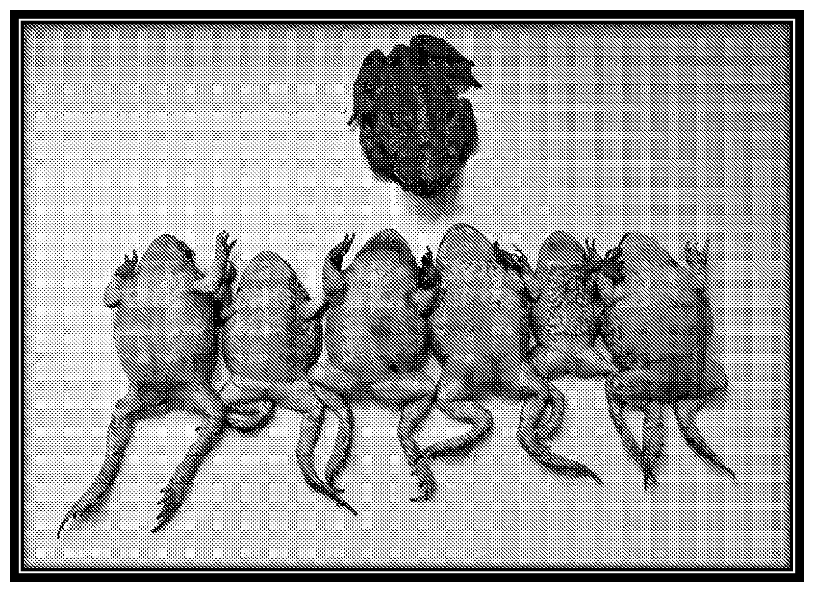 Patent US12342818 Figure 1 – Formulations and methods for controlling invasive amphibians