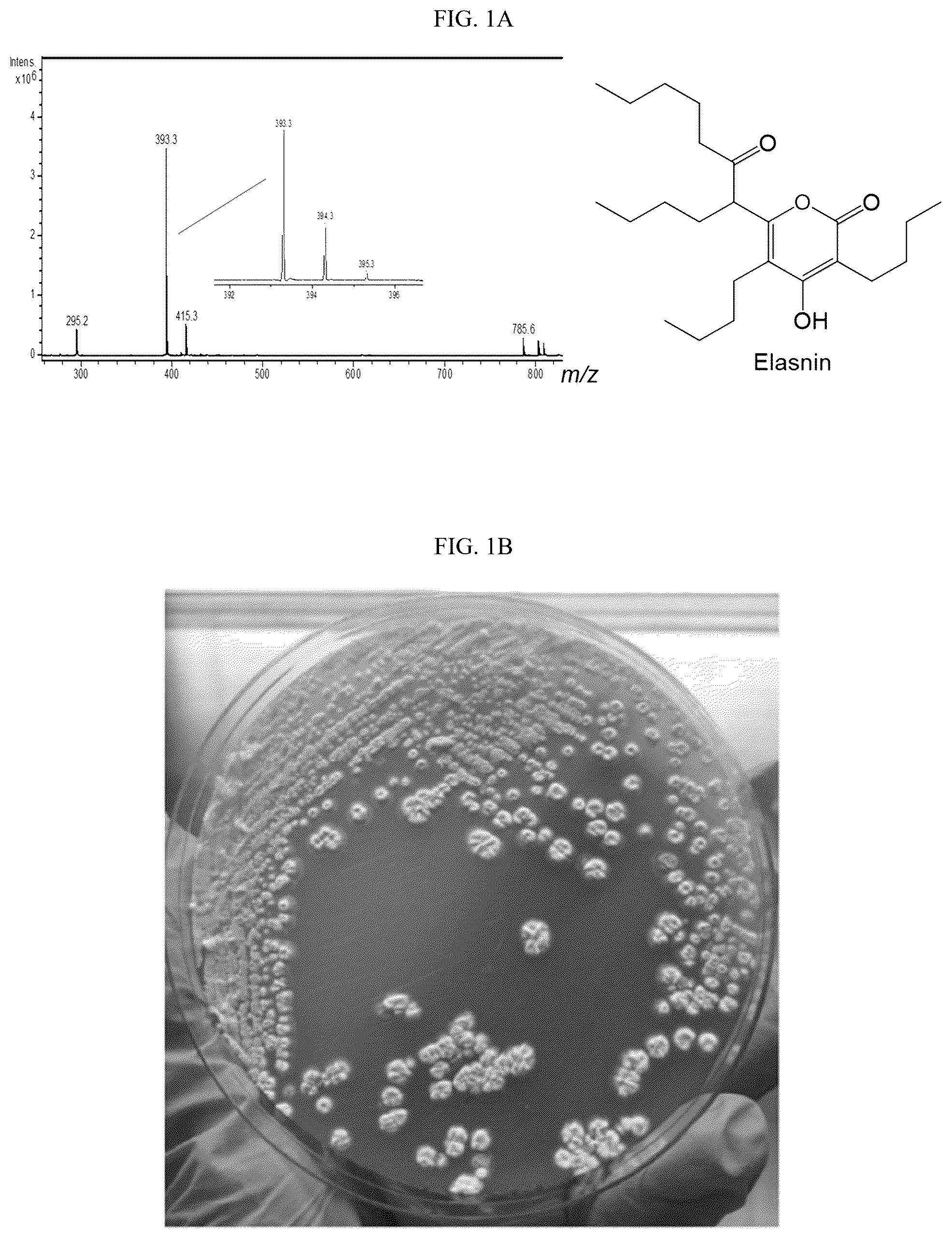 Patent US12342819 — Elasnin, a bacteriostatic agent that has potent antibiofilm activities against both mono- and multi-species biofilm — Figure 1