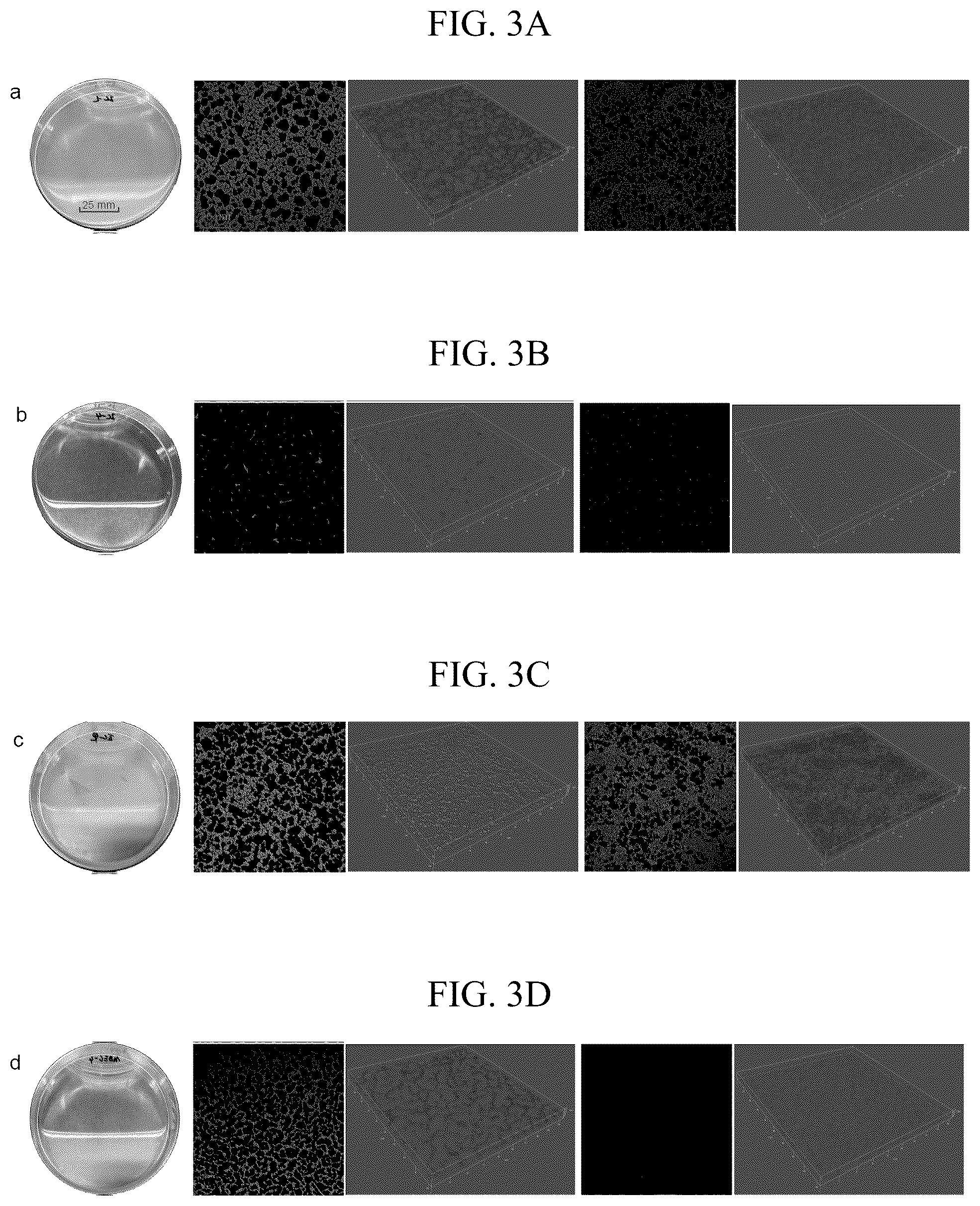 Patent US12342819 Figure 6 – Elasnin, a bacteriostatic agent that has potent antibiofilm activities against both mono- and multi-species biofilm