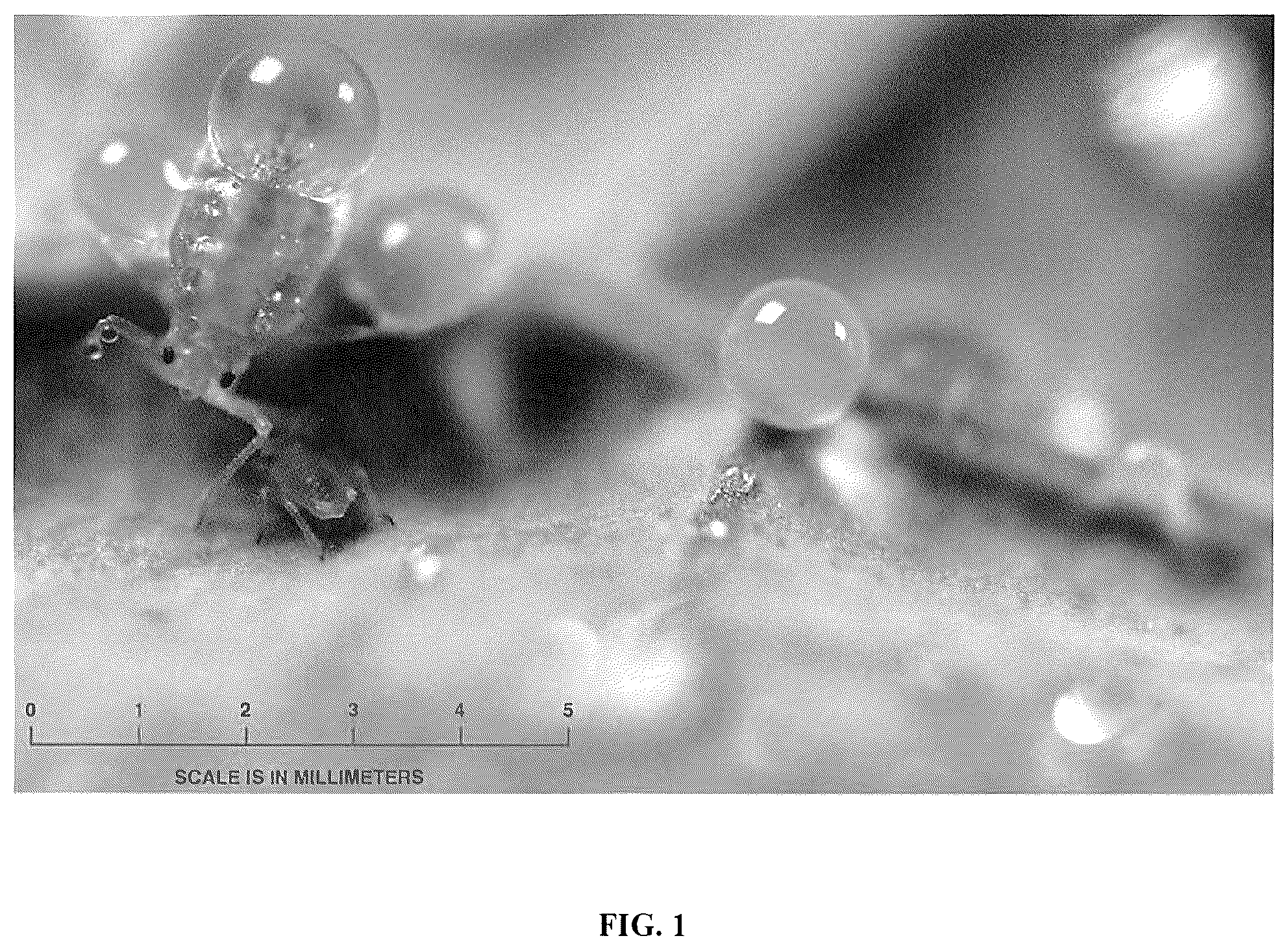 Patent US12342822 — Pesticides and methods of use thereof — Figure 1