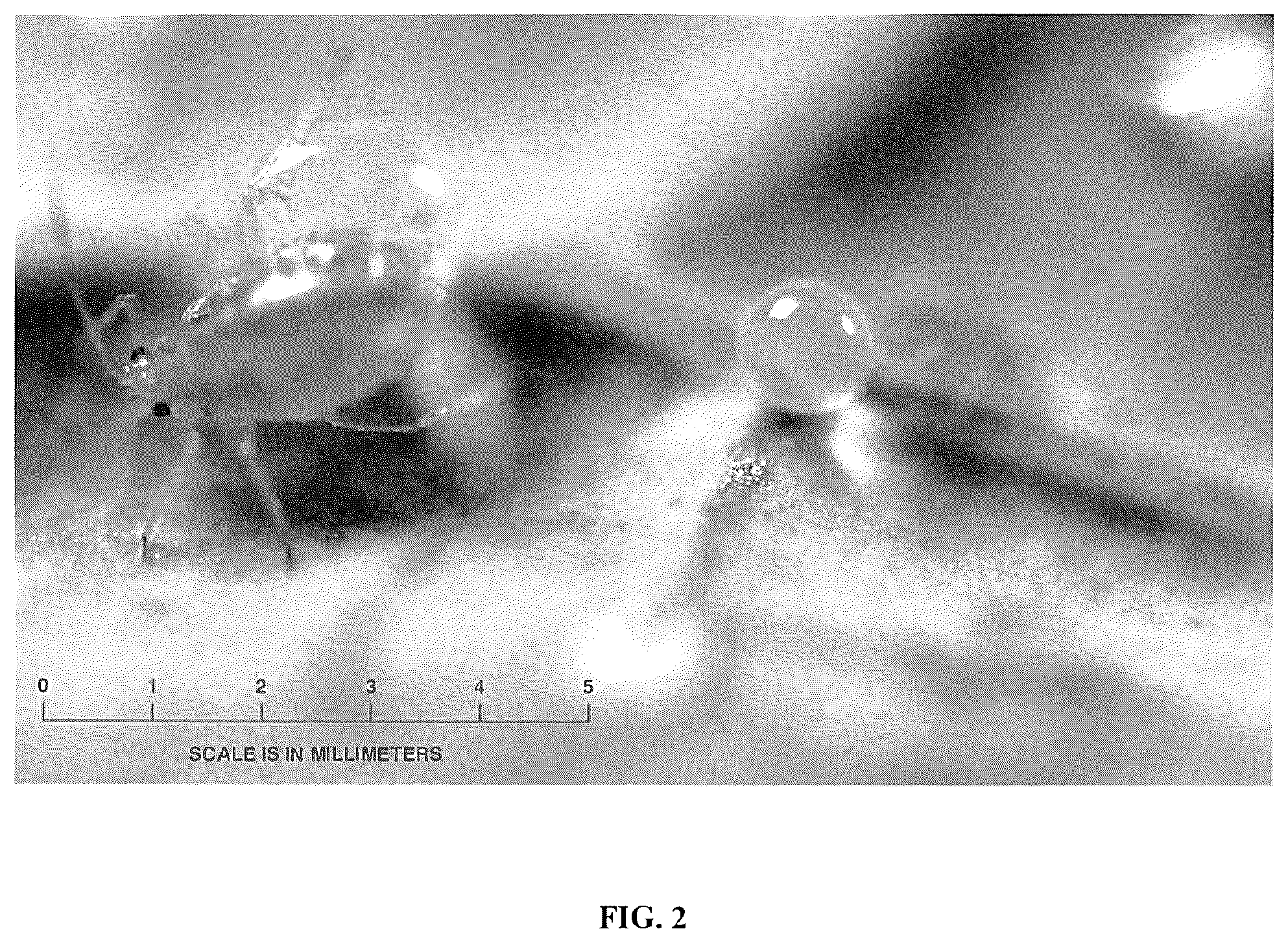 Patent US12342822 Figure 2 – Pesticides and methods of use thereof