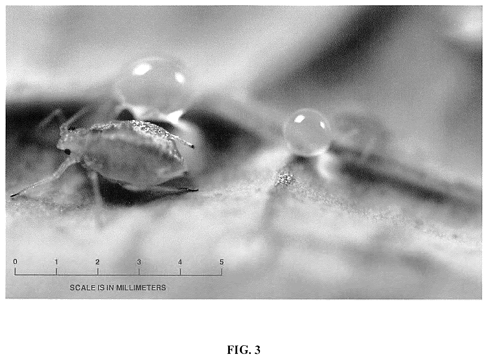 Patent US12342822 Figure 3 – Pesticides and methods of use thereof