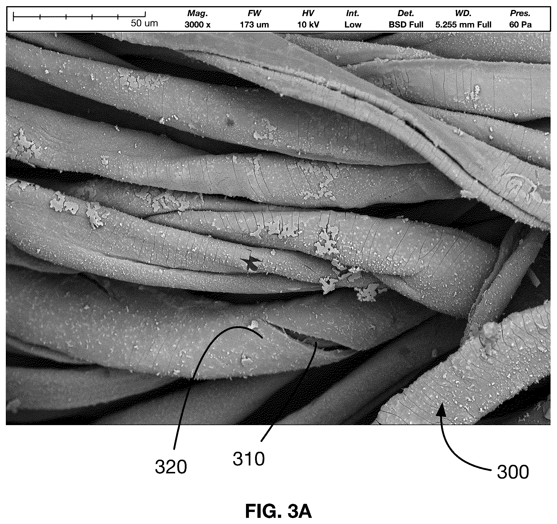Patent US12342824 Figure 3 – Metal-infused antimicrobial material and method of preparation thereof