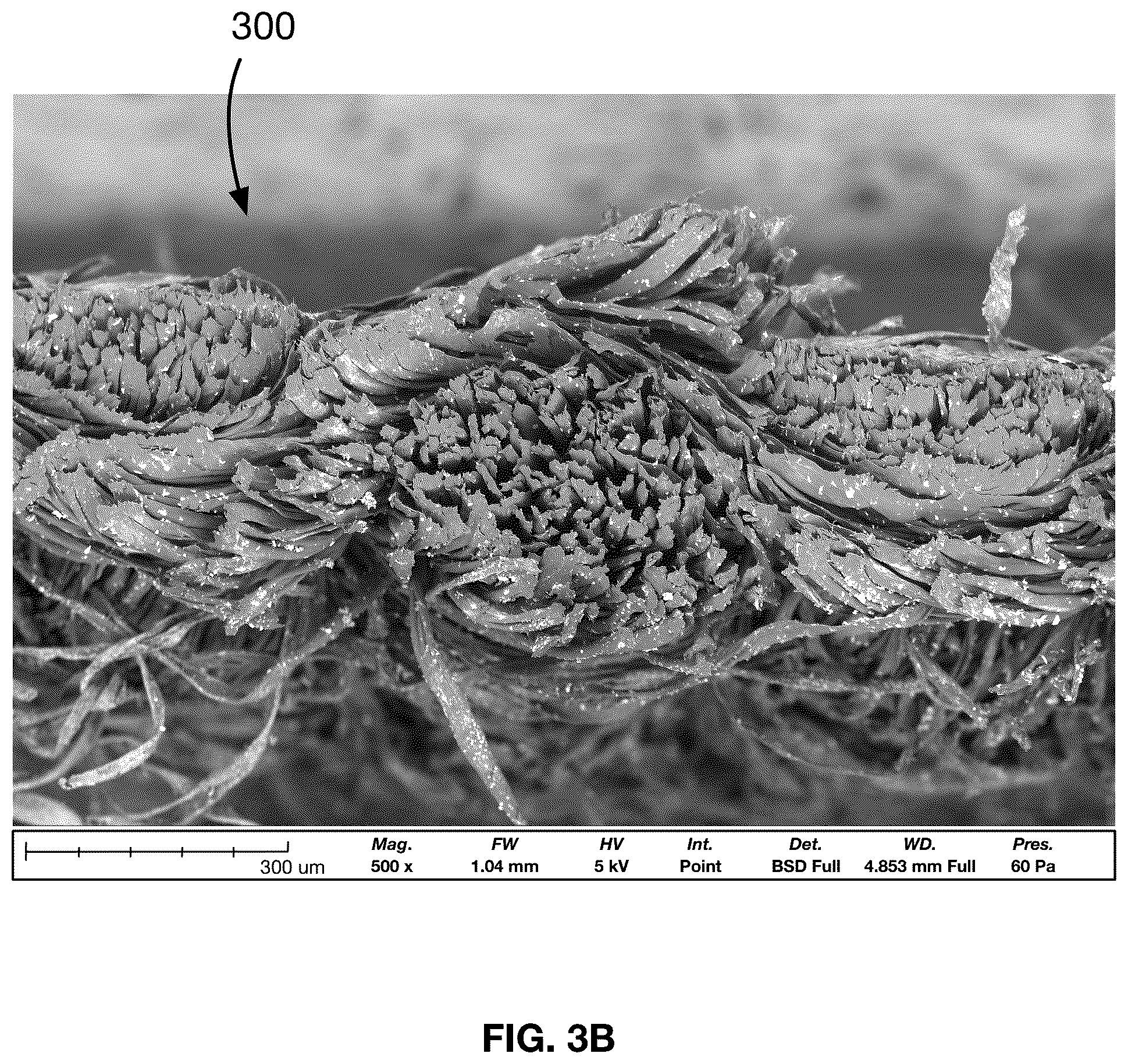 Patent US12342824 Figure 4 – Metal-infused antimicrobial material and method of preparation thereof