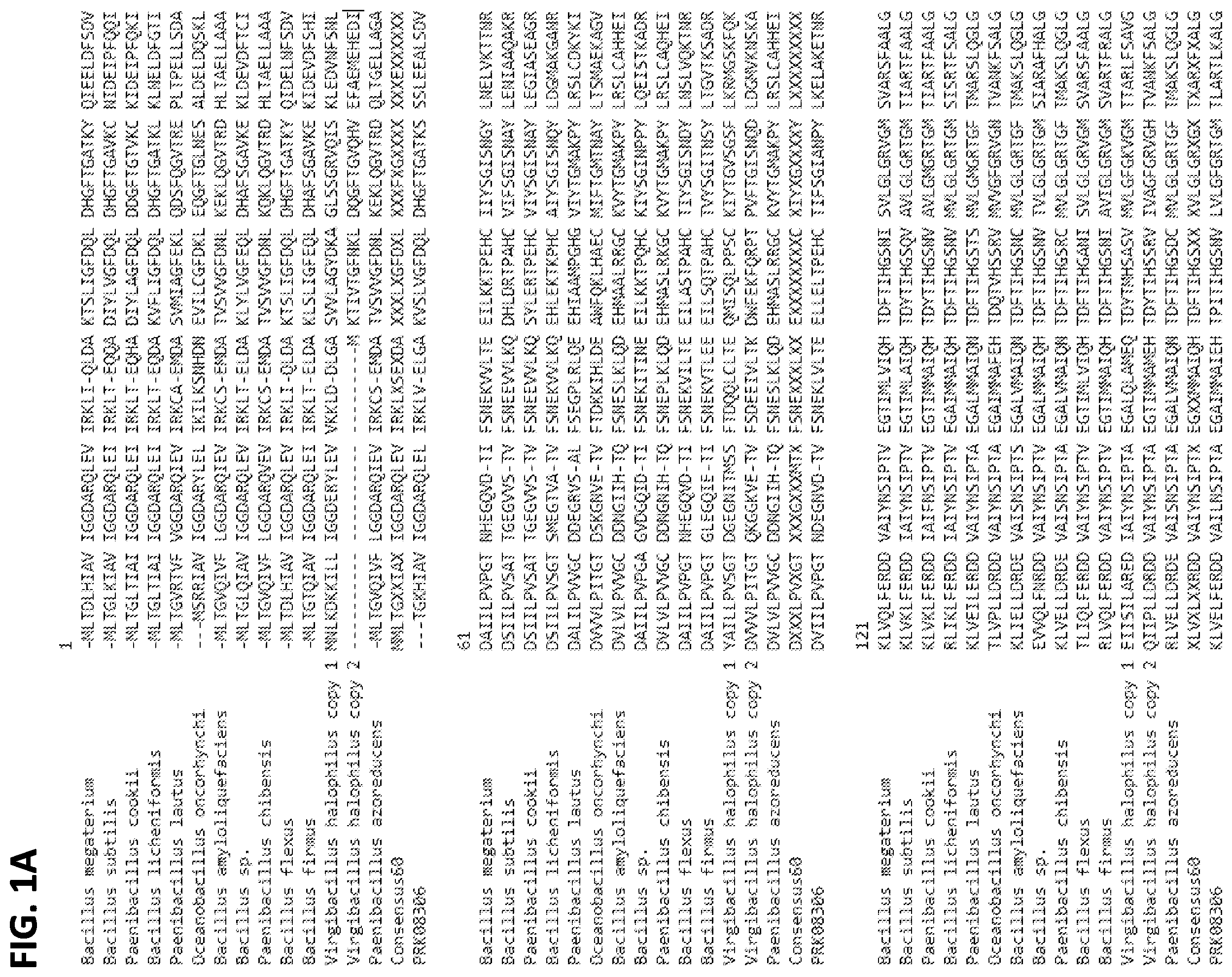 Patent US12342825 Figure 1 – Microbial consortia producing dipicolinic acid and methods for selecting microbes for co-formulation with carriers