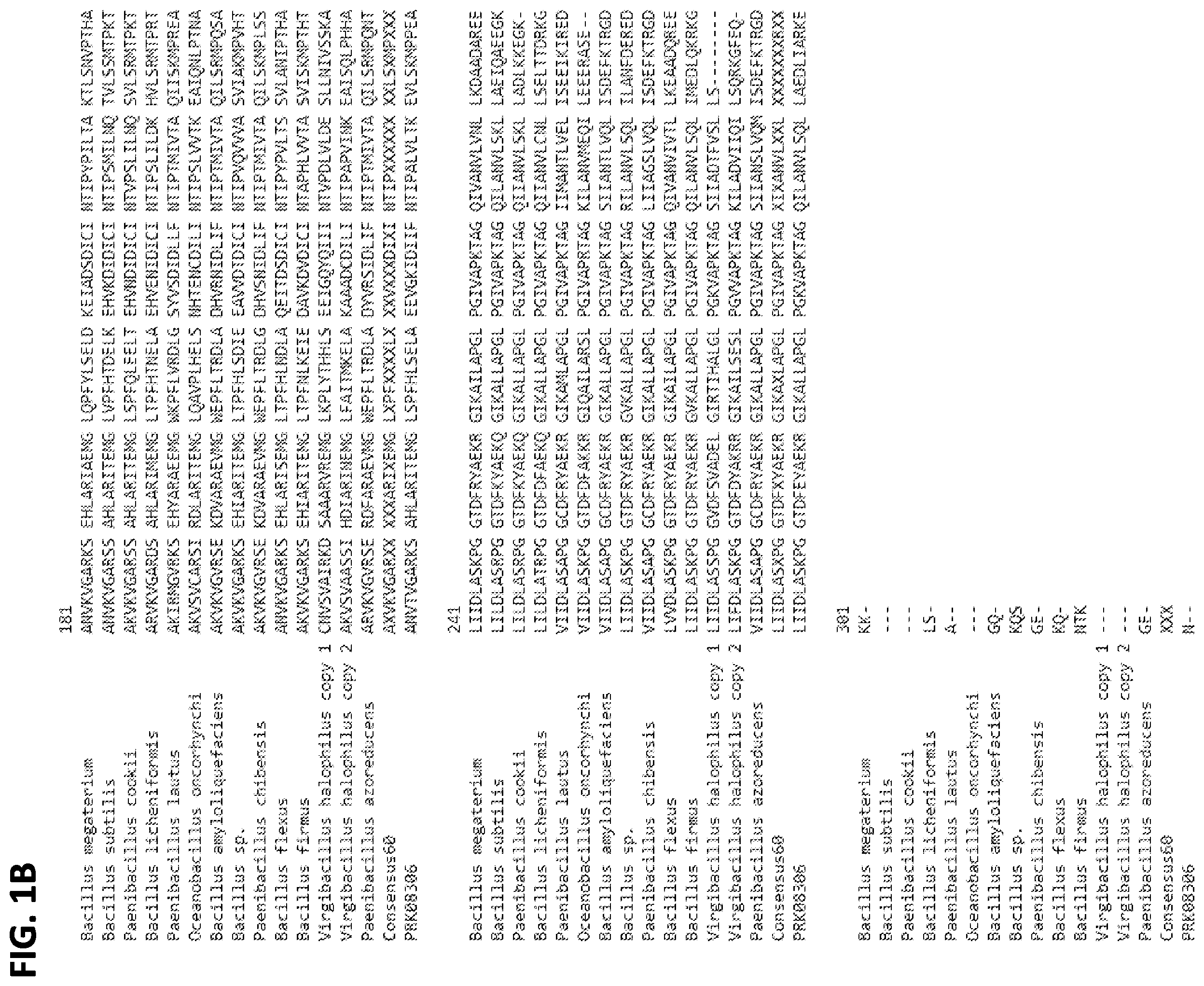 Patent US12342825 Figure 2 – Microbial consortia producing dipicolinic acid and methods for selecting microbes for co-formulation with carriers