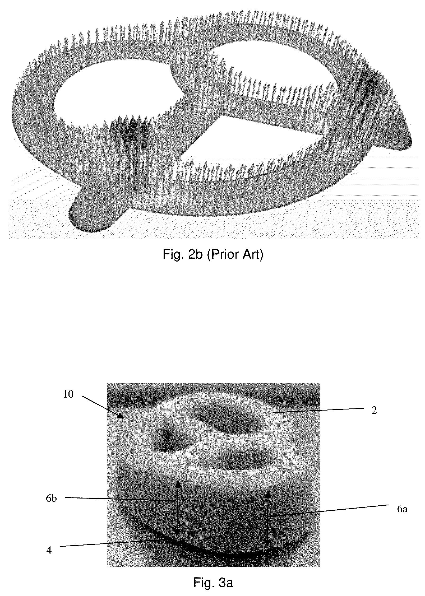 Patent US12342829 Figure 2 – Snack food product and method of making the same