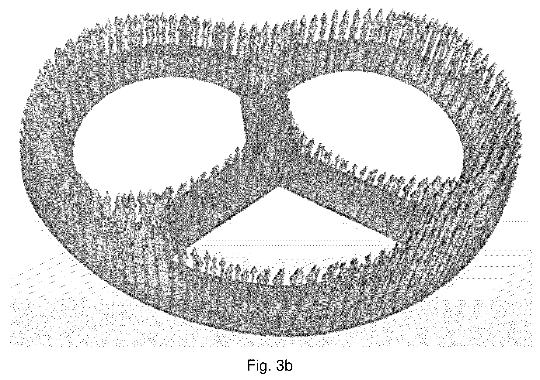 Patent US12342829 Figure 3 – Snack food product and method of making the same