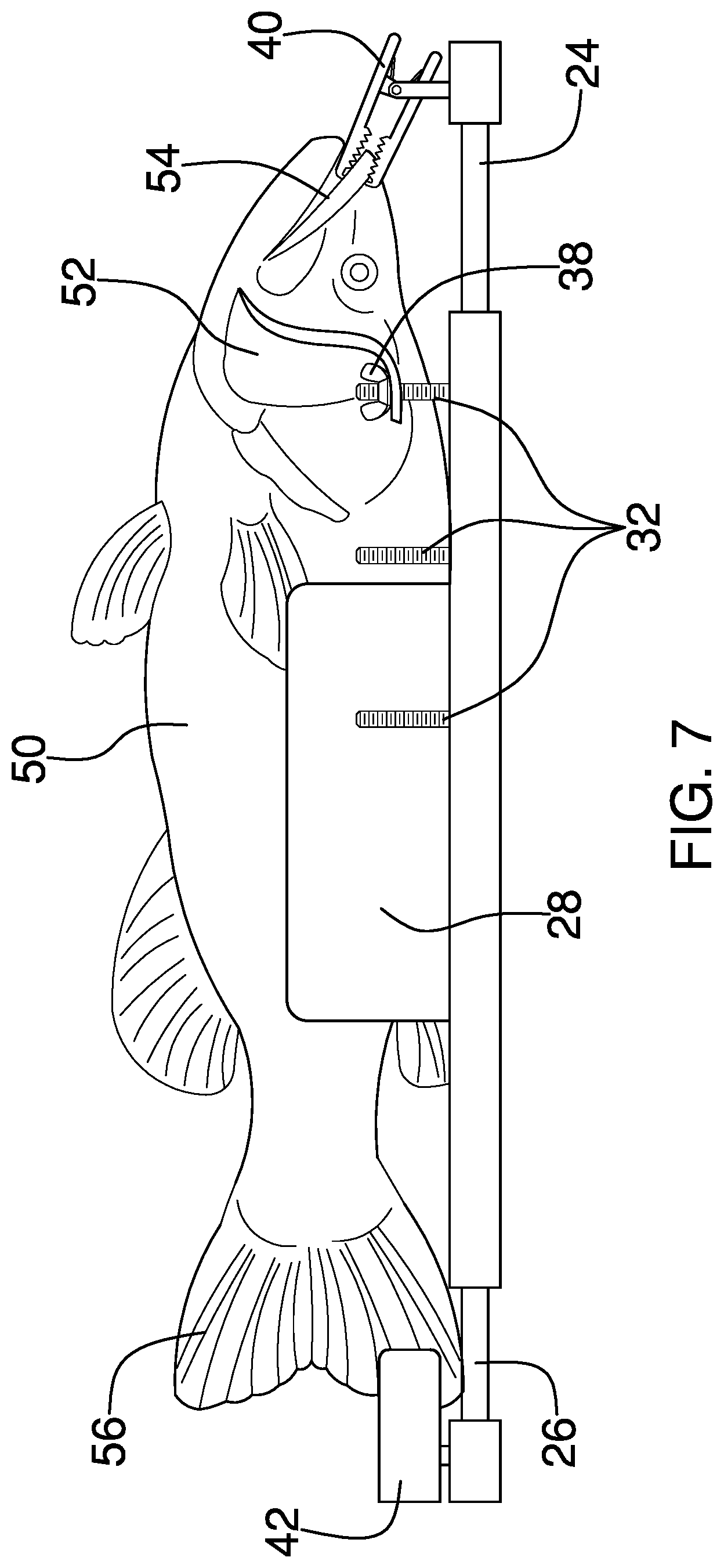 Patent US12342832 Figure 6 – Fish filleting stand device