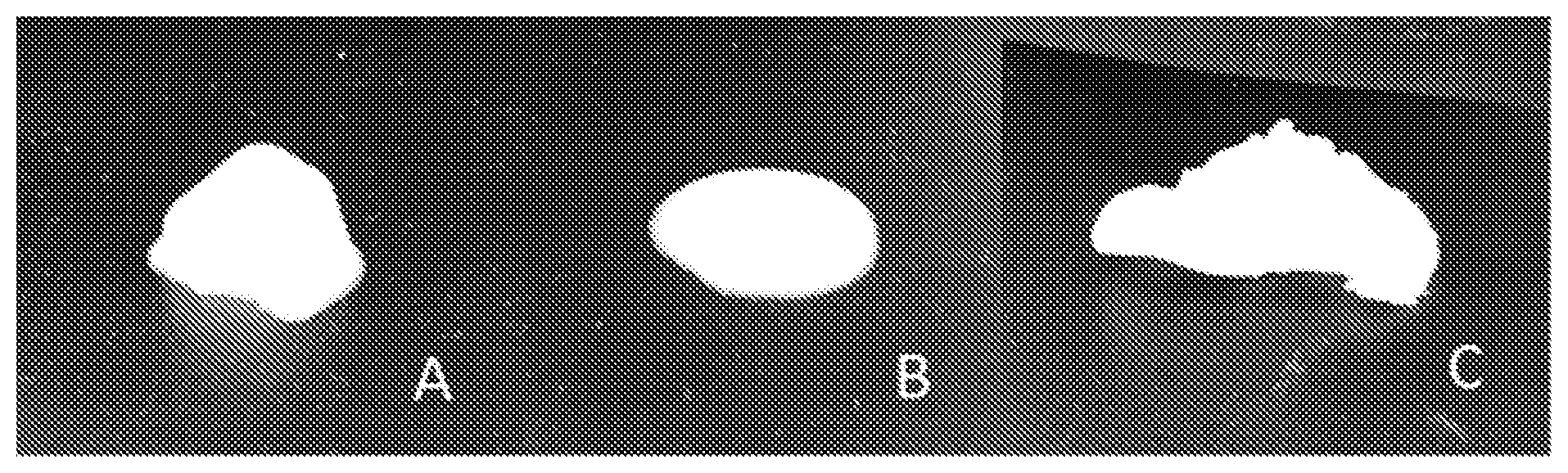 Patent US12342833 Figure 1 – One step procedure for producing a protein oleogel