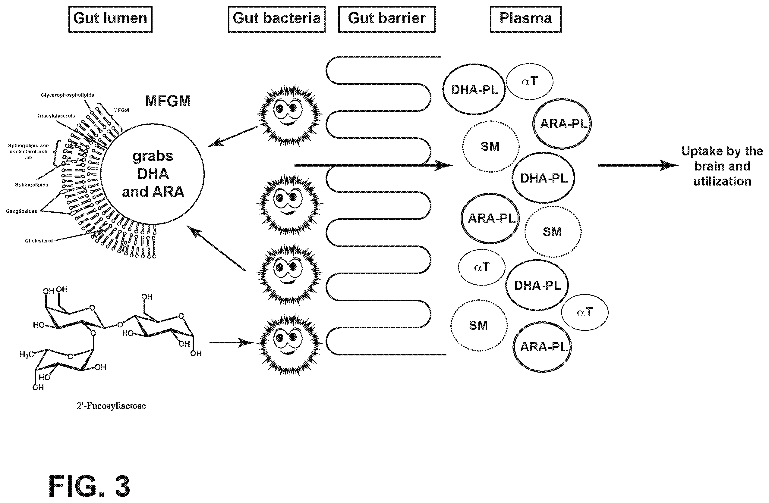 Patent US12342843 Figure 3 – Nutritional compositions with MFGM and certain human milk oligosaccharides and uses thereof