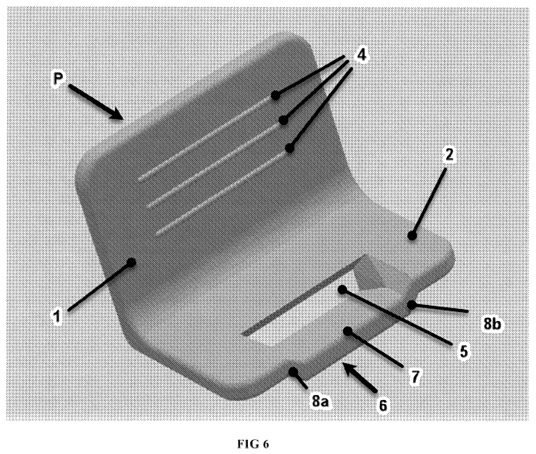 Patent US12342953 Figure 6 – Full peeler