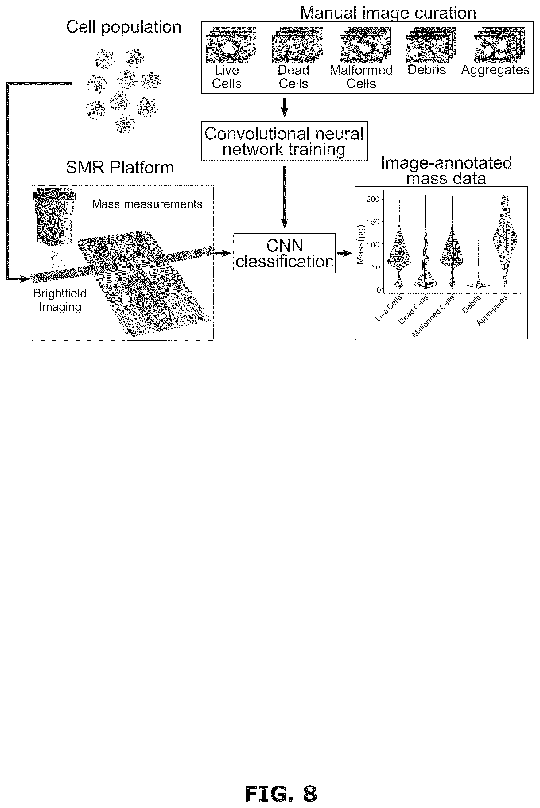 Patent US12345622 Figure 8 – Cellular measurement, calibration, and classification