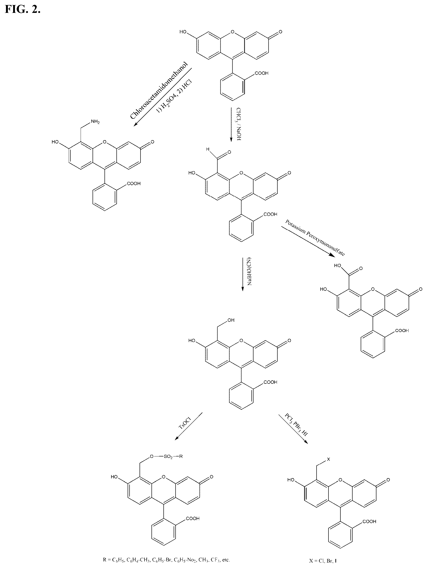 Patent US12345641 Figure 2 – Fluorescence quenching immunoassay