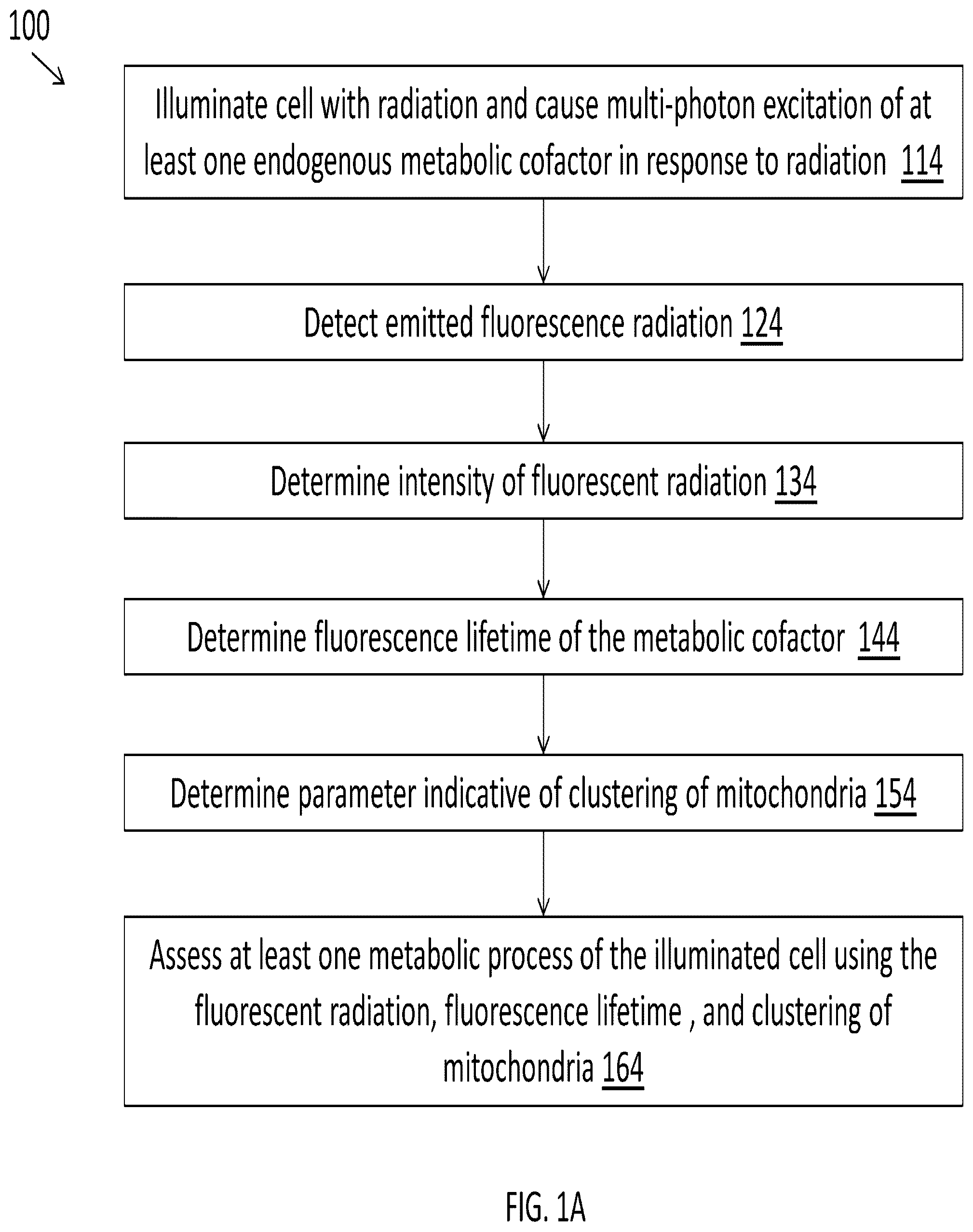 Patent US12345644 Figure 1 – System and method for assessing cellular metabolic activity