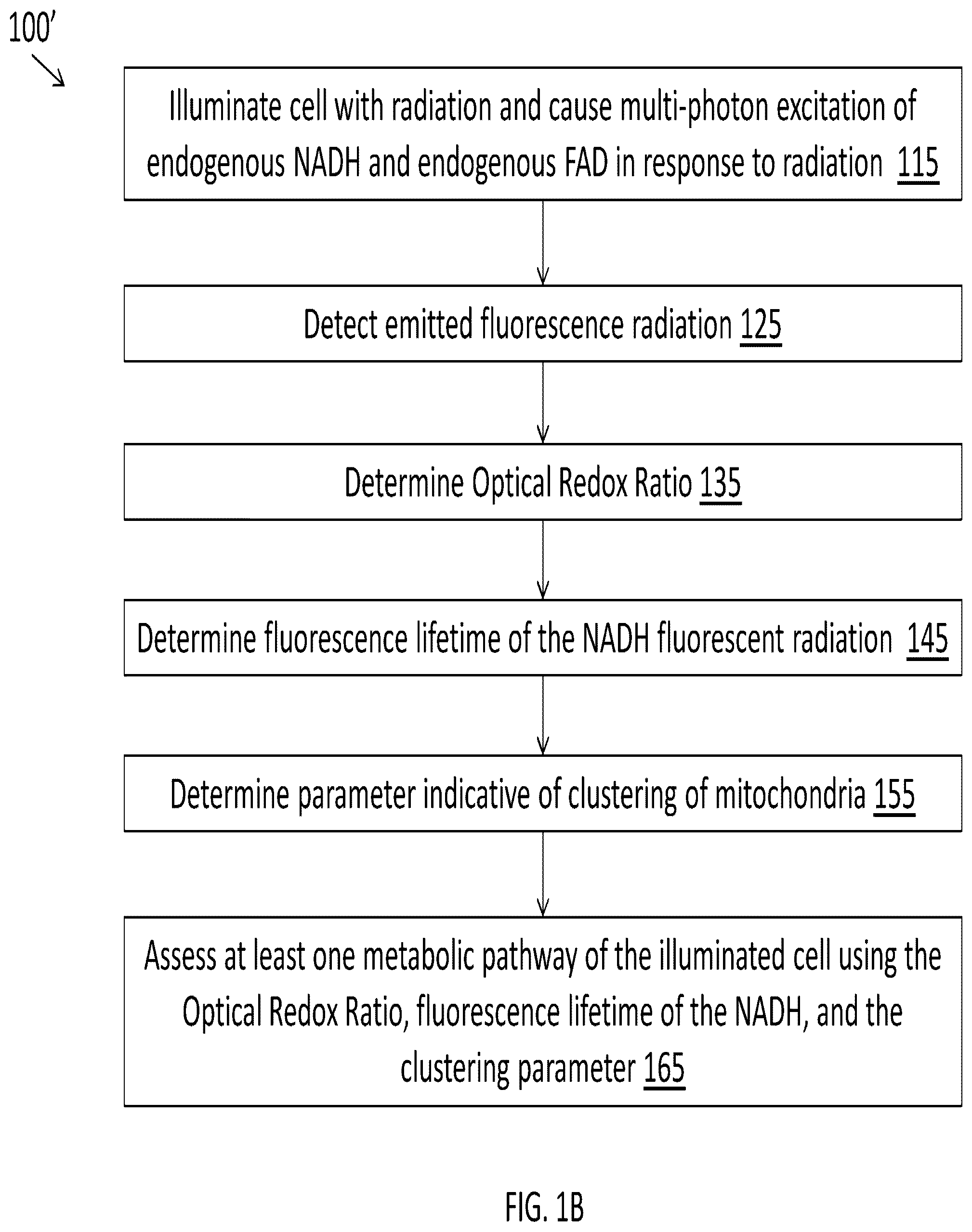 Patent US12345644 Figure 2 – System and method for assessing cellular metabolic activity