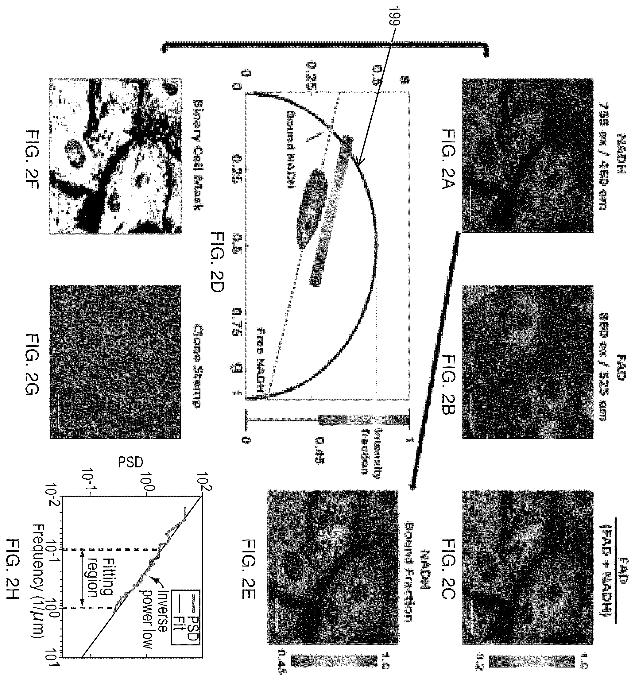 Patent US12345644 Figure 7 – System and method for assessing cellular metabolic activity