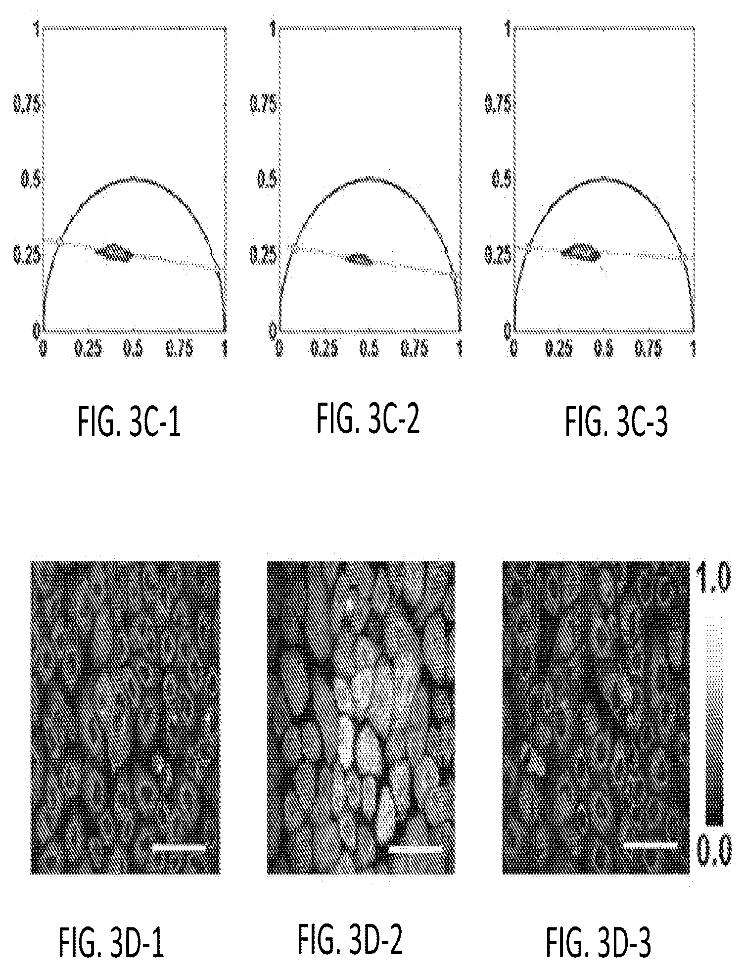 Patent US12345644 Figure 9 – System and method for assessing cellular metabolic activity