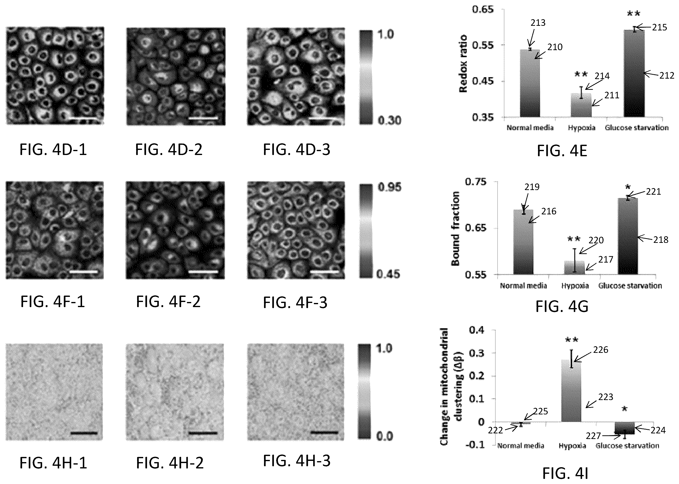 Patent US12345644 Figure 11 – System and method for assessing cellular metabolic activity