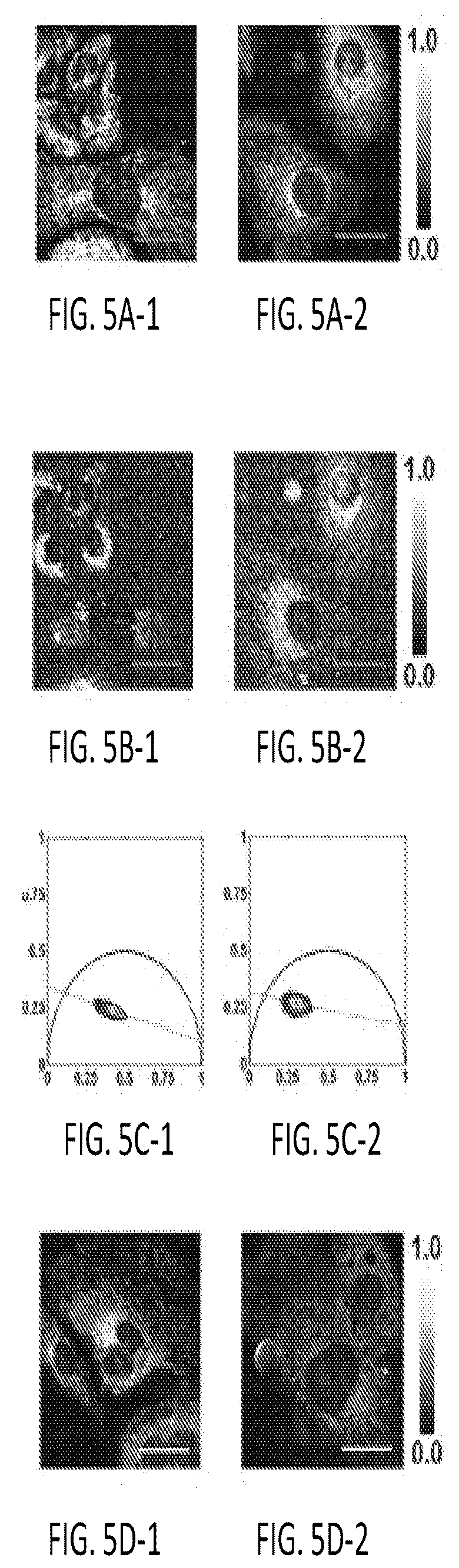 Patent US12345644 Figure 12 – System and method for assessing cellular metabolic activity