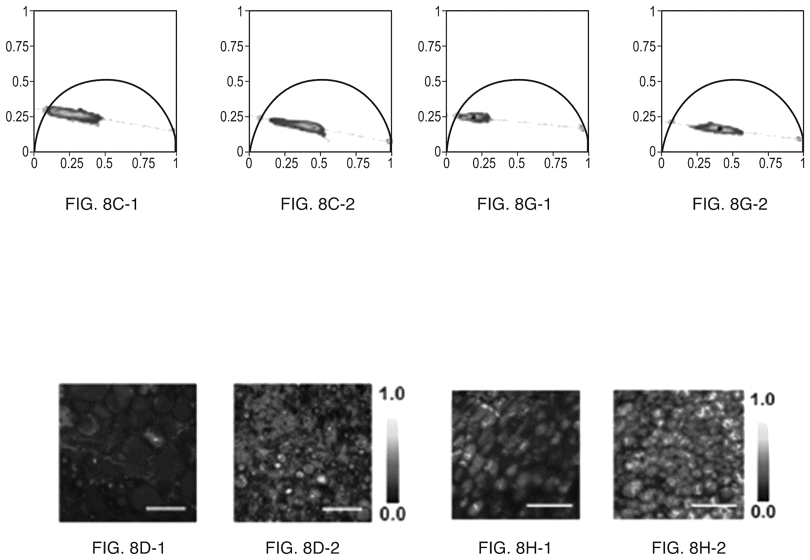 Patent US12345644 Figure 17 – System and method for assessing cellular metabolic activity