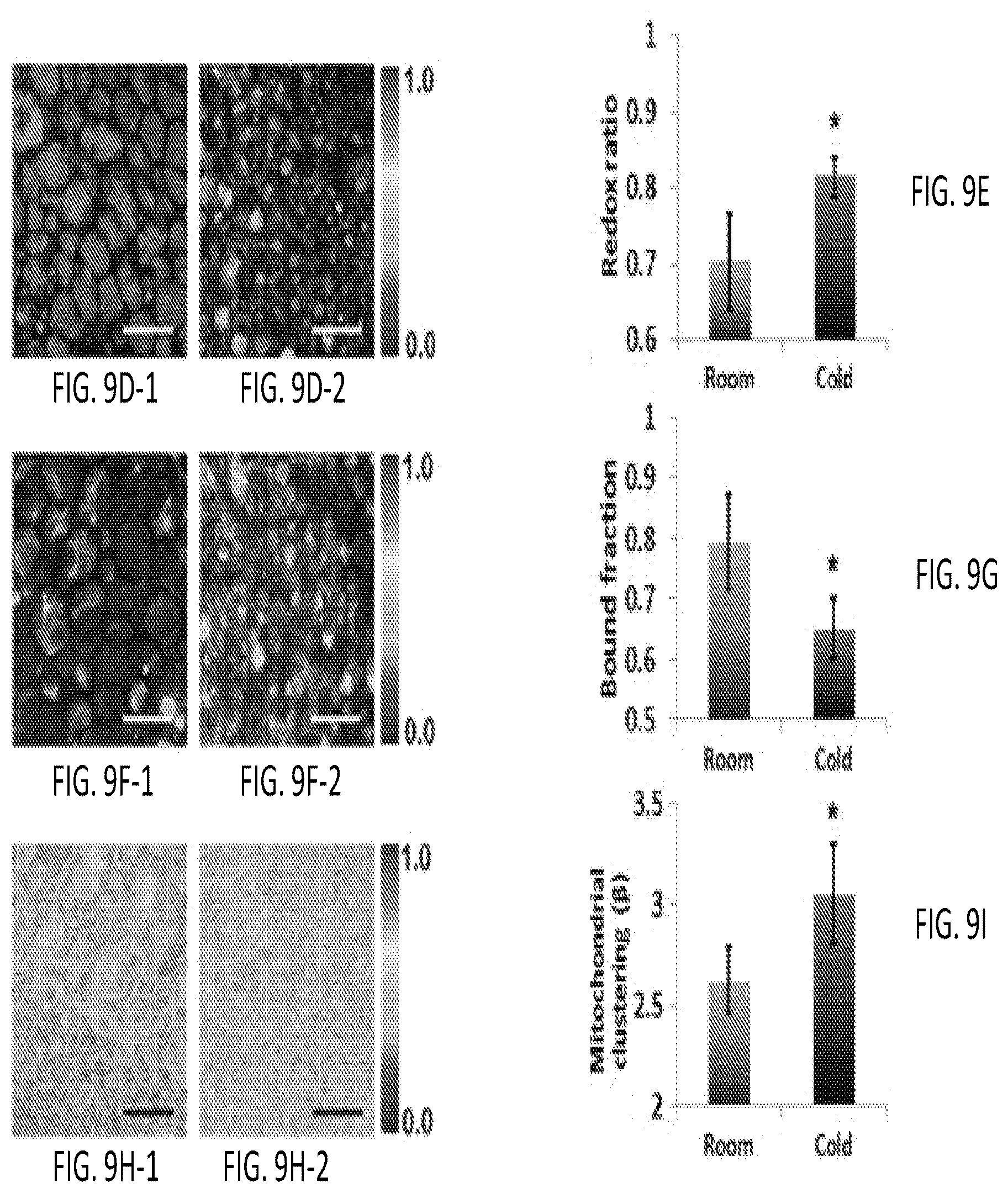 Patent US12345644 Figure 19 – System and method for assessing cellular metabolic activity