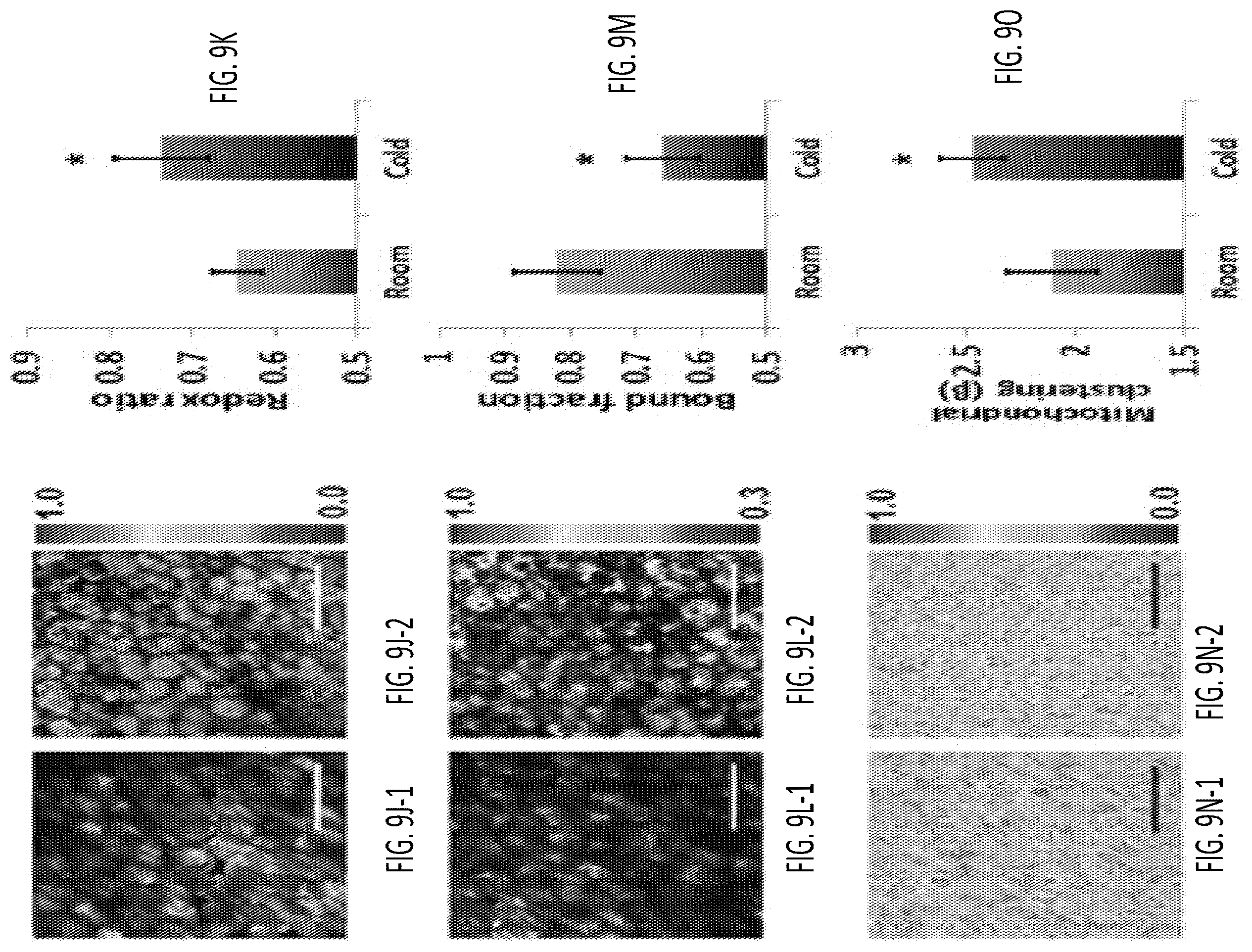 Patent US12345644 Figure 20 – System and method for assessing cellular metabolic activity