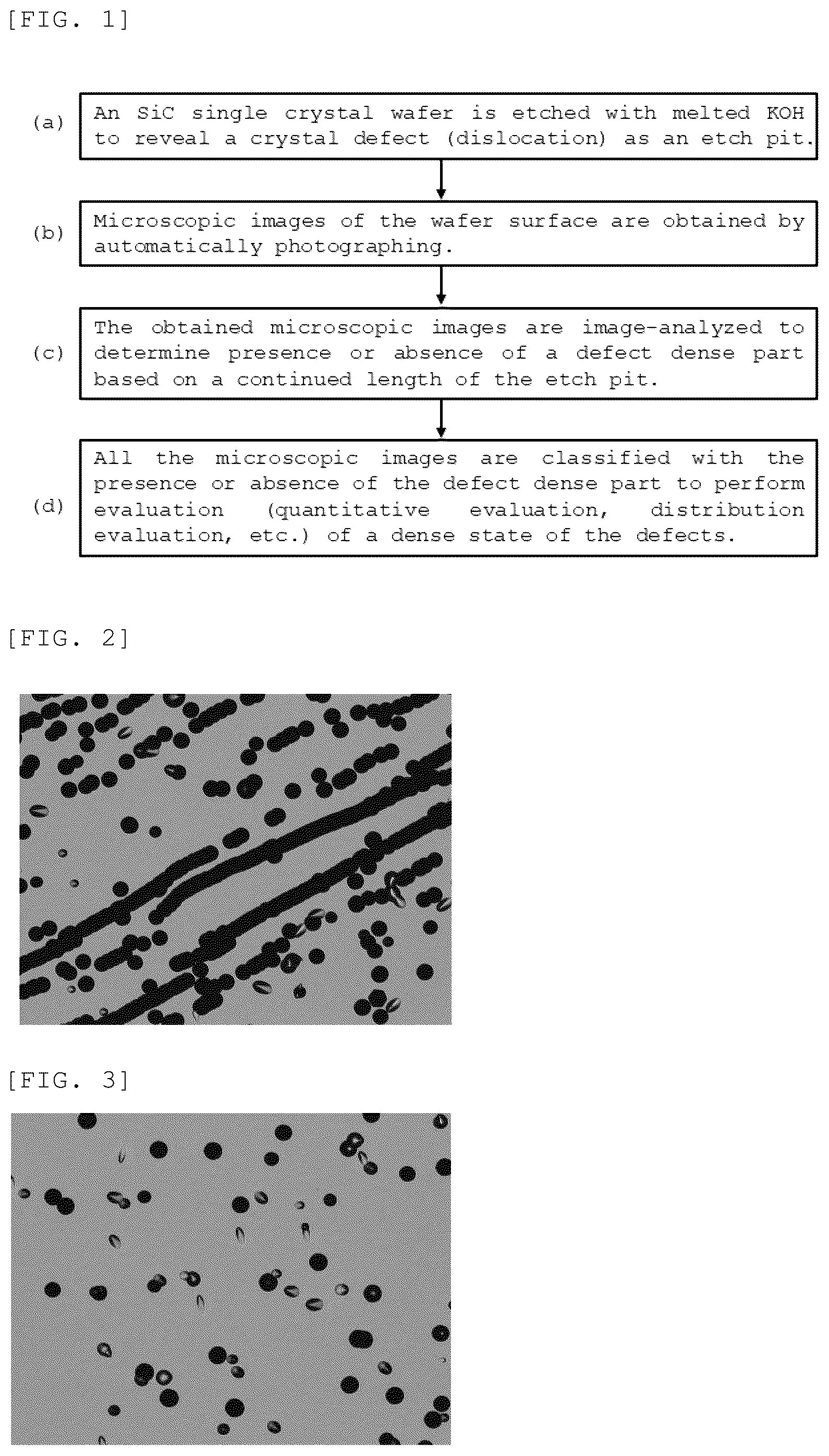 Patent US12345660 — Method for evaluating crystal defects in silicon carbide single crystal wafer — Figure 1