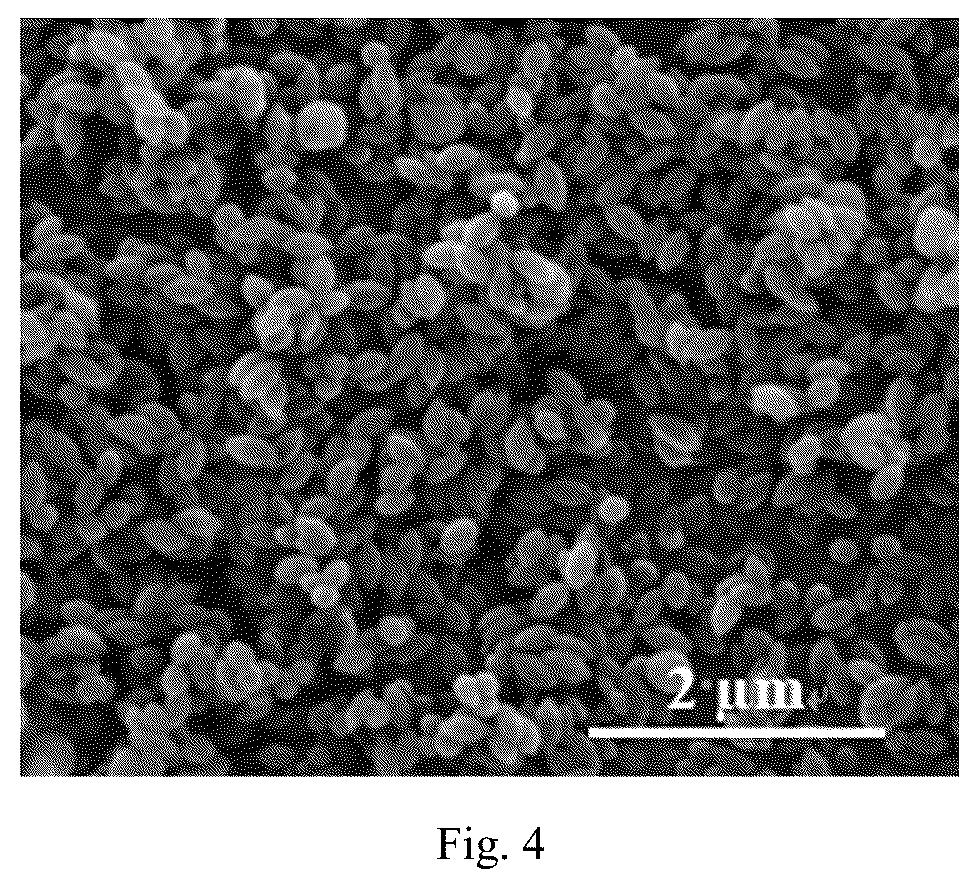 Patent US12345695 Figure 4 – Preparation method and application of flexible paper-based sensor for detecting meat products