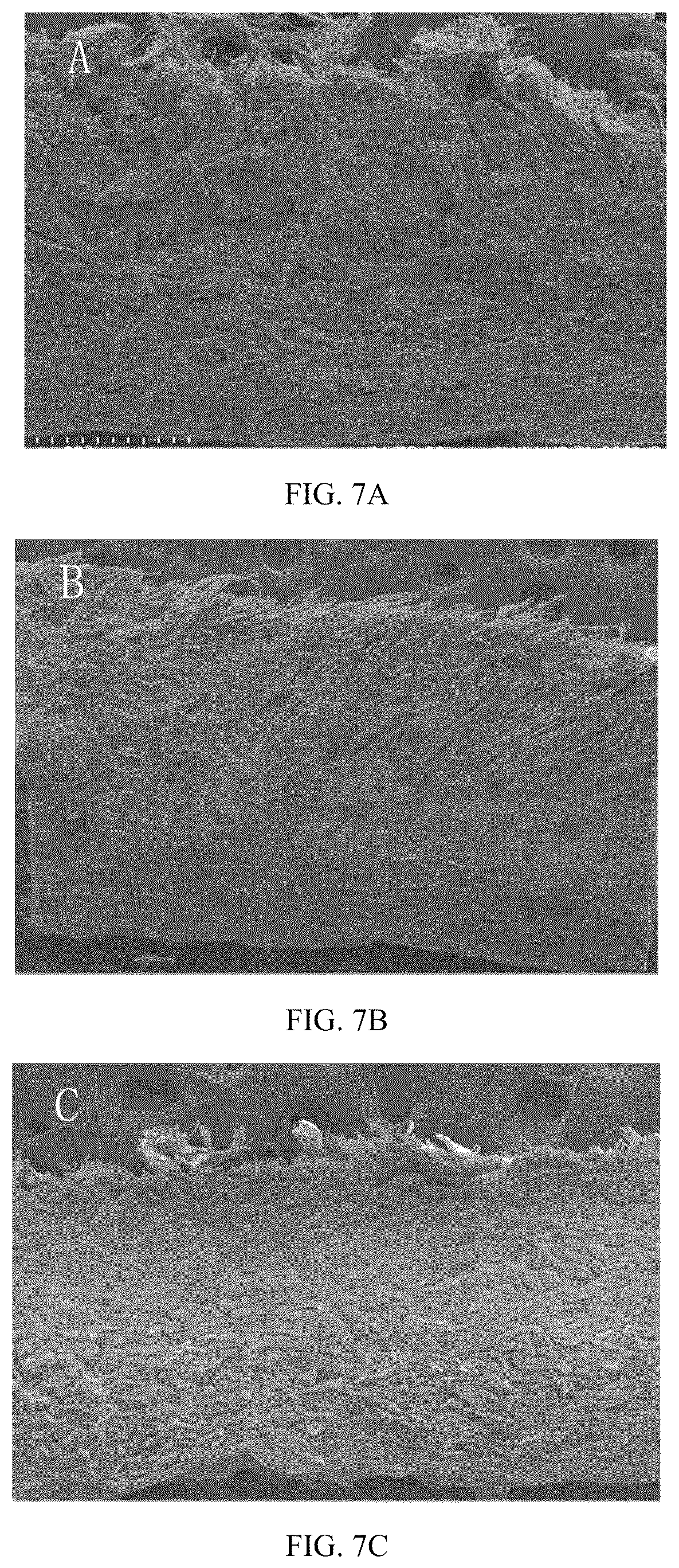 Patent US12345698 Figure 8 – Method for authentication of animal species origin of leather products