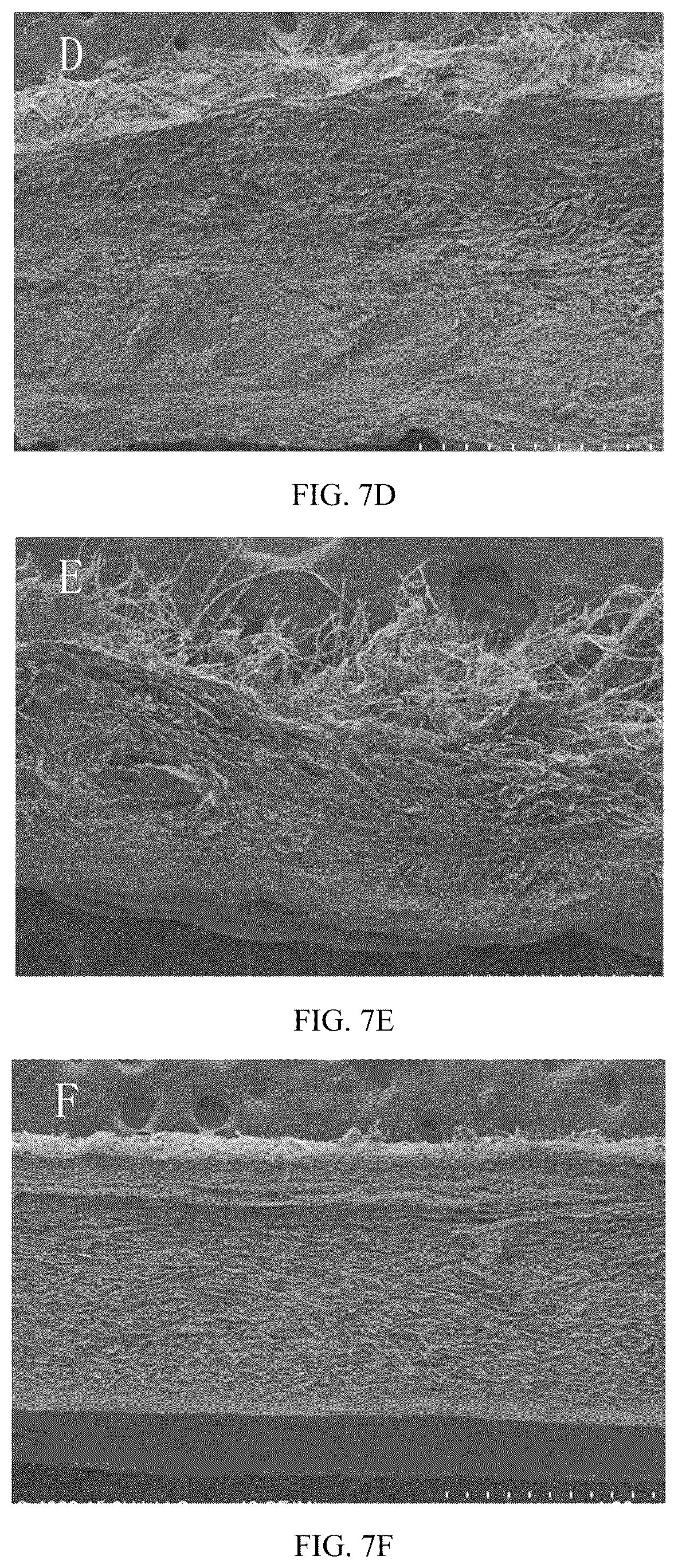 Patent US12345698 Figure 9 – Method for authentication of animal species origin of leather products