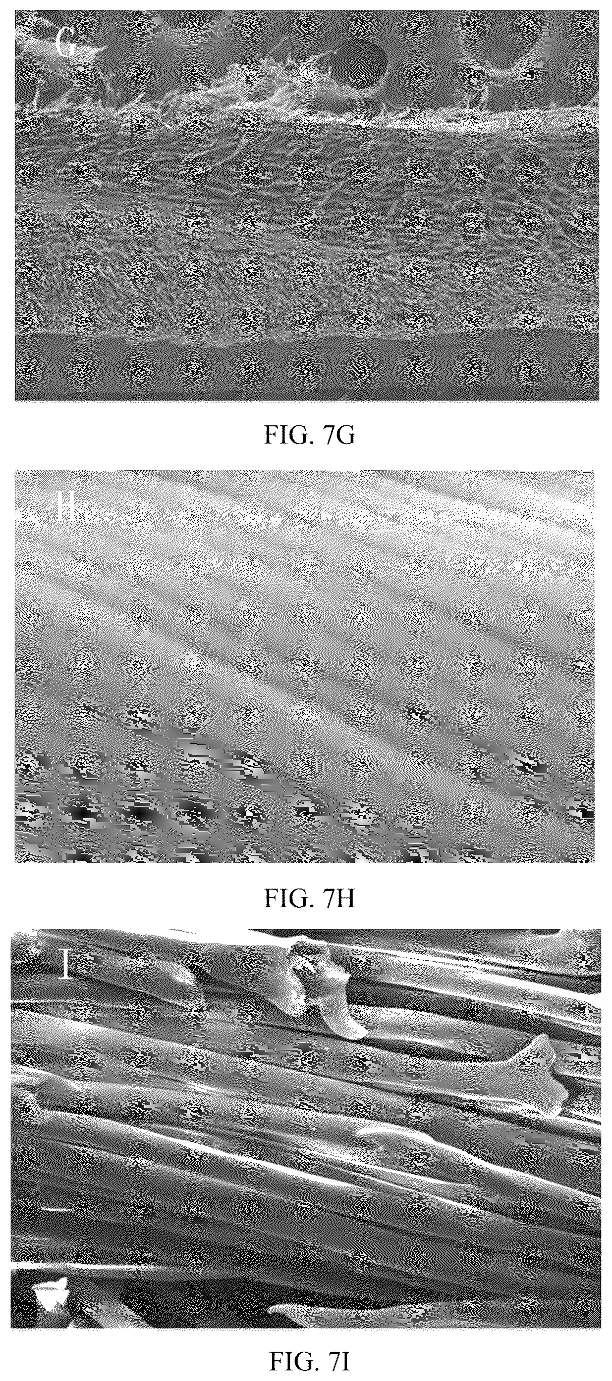 Patent US12345698 Figure 10 – Method for authentication of animal species origin of leather products