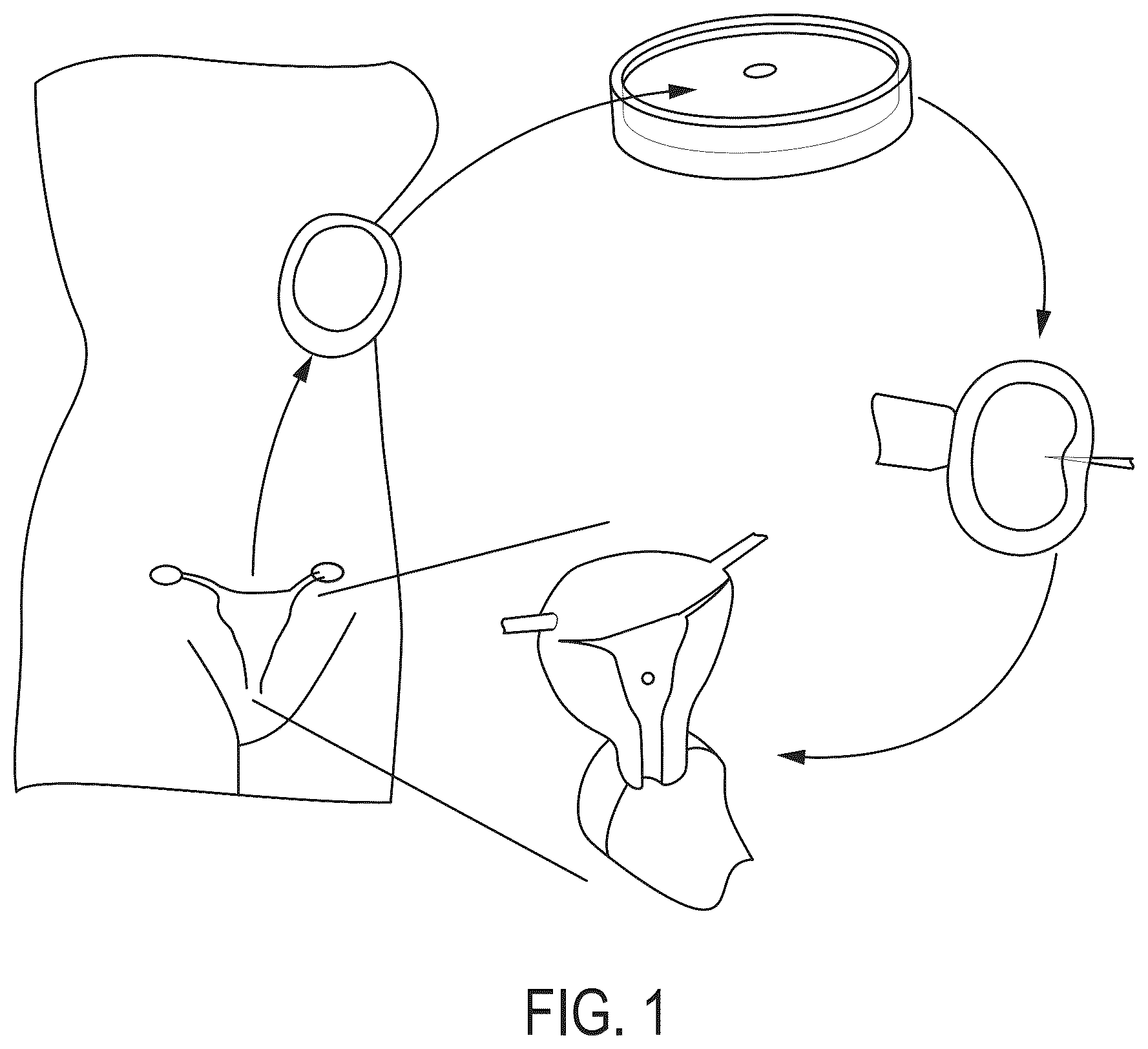 Patent US12345699 Figure 1 – Contactless inspection of reproductive cellular structures using optical measurement of biomechanical properties