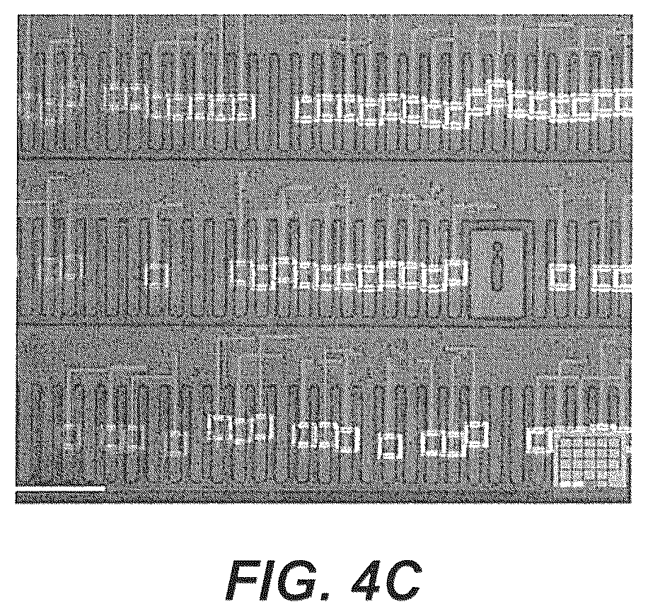 Patent US12345701 Figure 12 – Methods for assaying biological cells in a microfluidic device