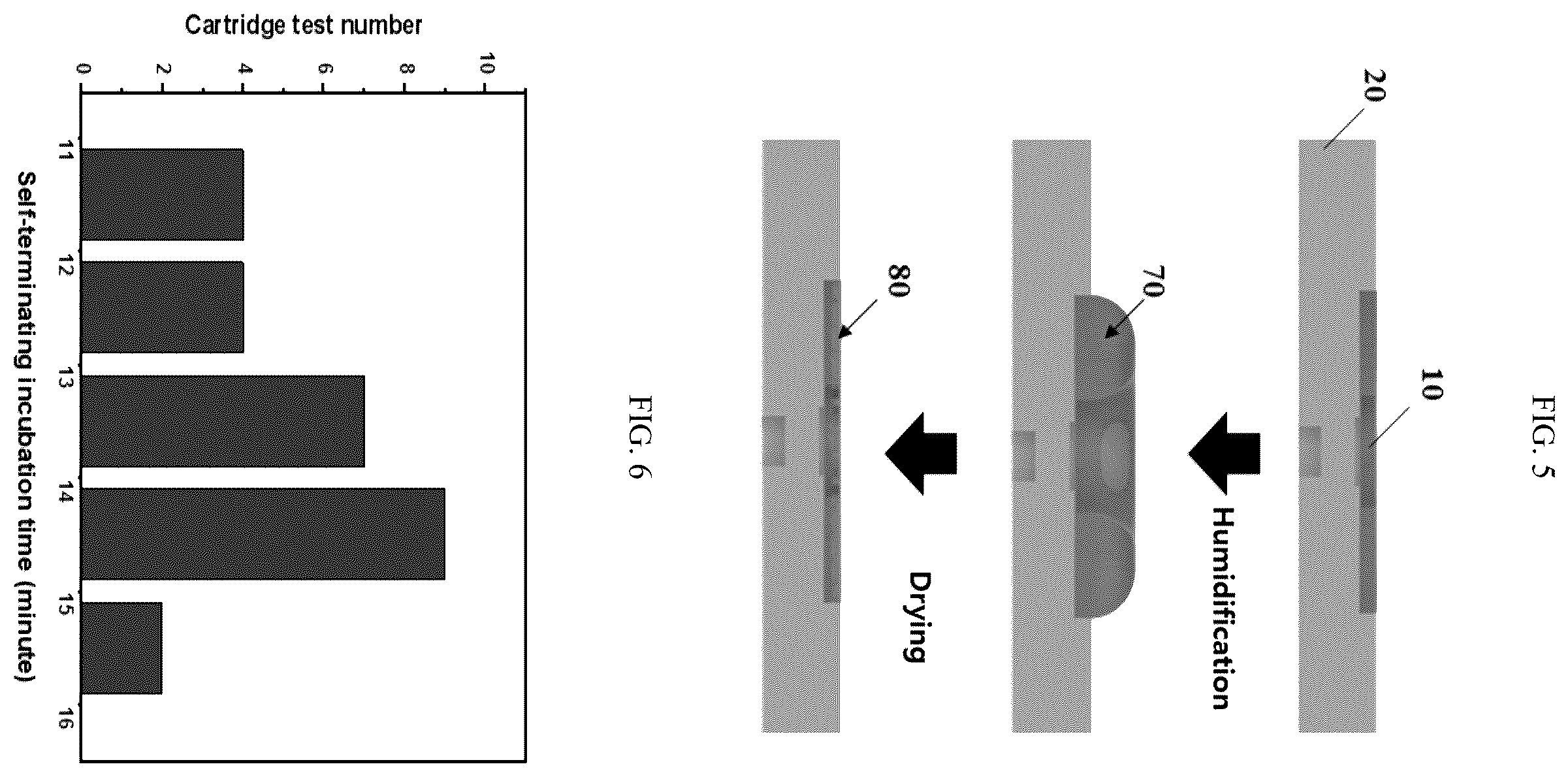 Patent US12345707 Figure 3 – Fluorescence imaging-based device for detecting microorganisms and method for manufacturing the same
