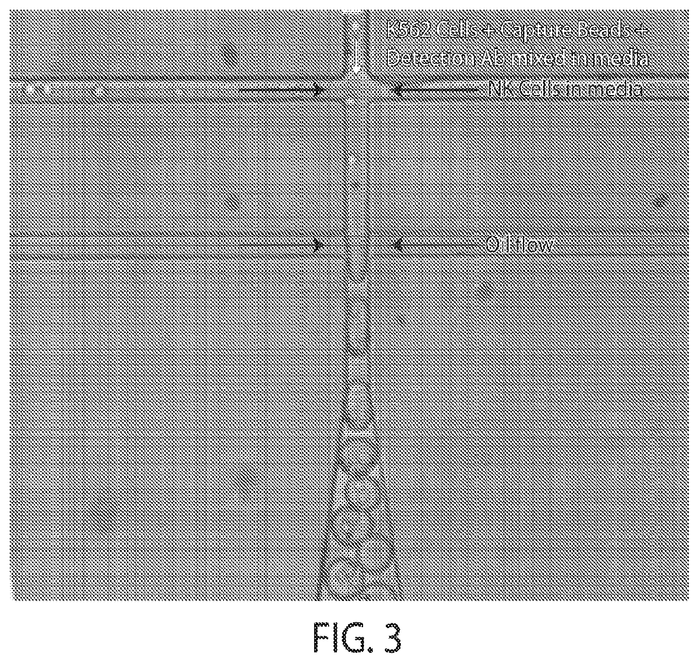 Patent US12345708 Figure 2 – Microfluidic determination of immune and other cells