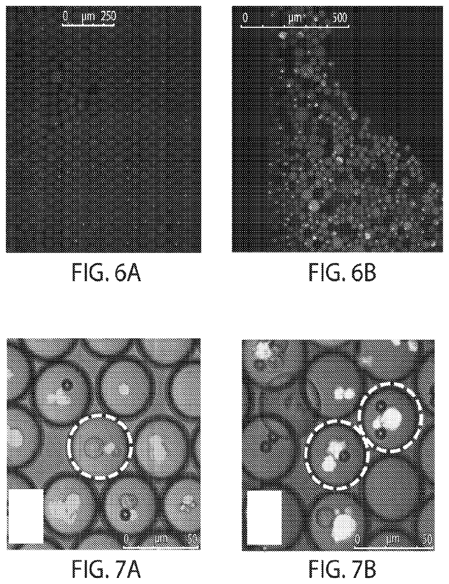 Patent US12345708 Figure 4 – Microfluidic determination of immune and other cells