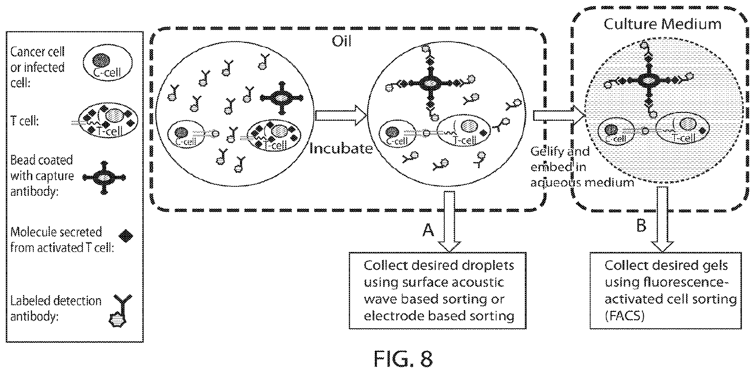 Patent US12345708 Figure 5 – Microfluidic determination of immune and other cells