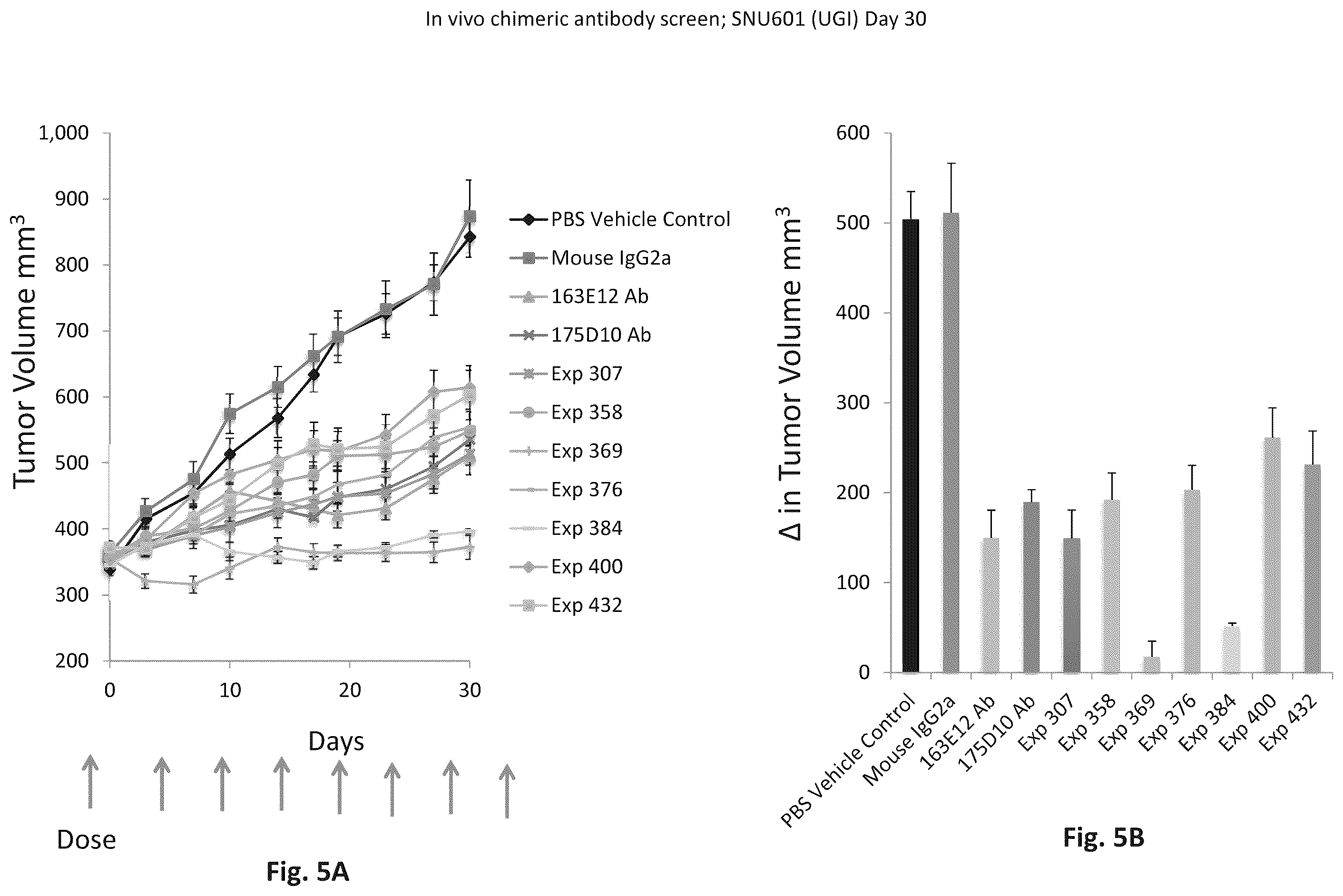 Patent US12345709 Figure 5 – CLAUDIN18 antibodies and methods of treating cancer