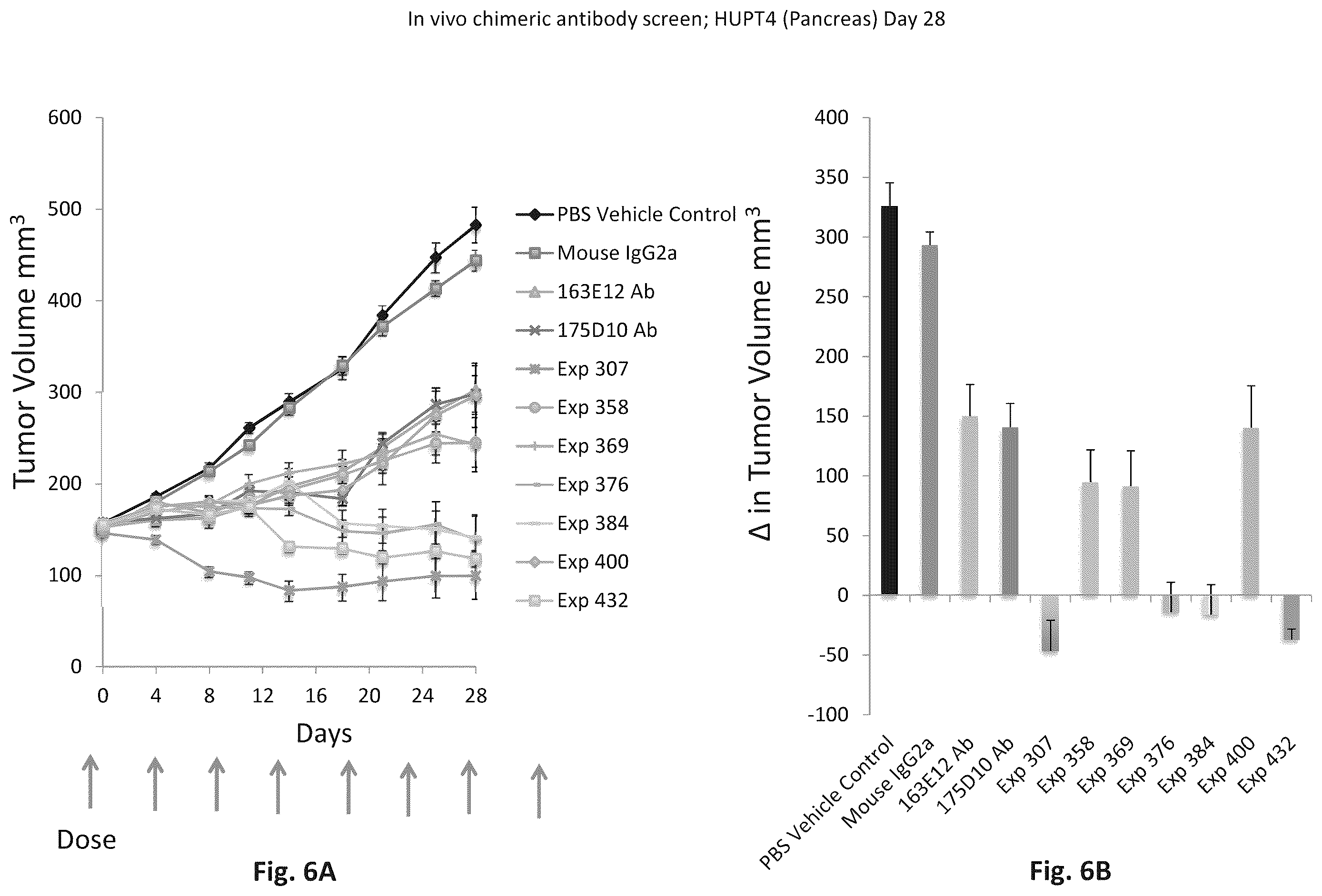 Patent US12345709 Figure 6 – CLAUDIN18 antibodies and methods of treating cancer