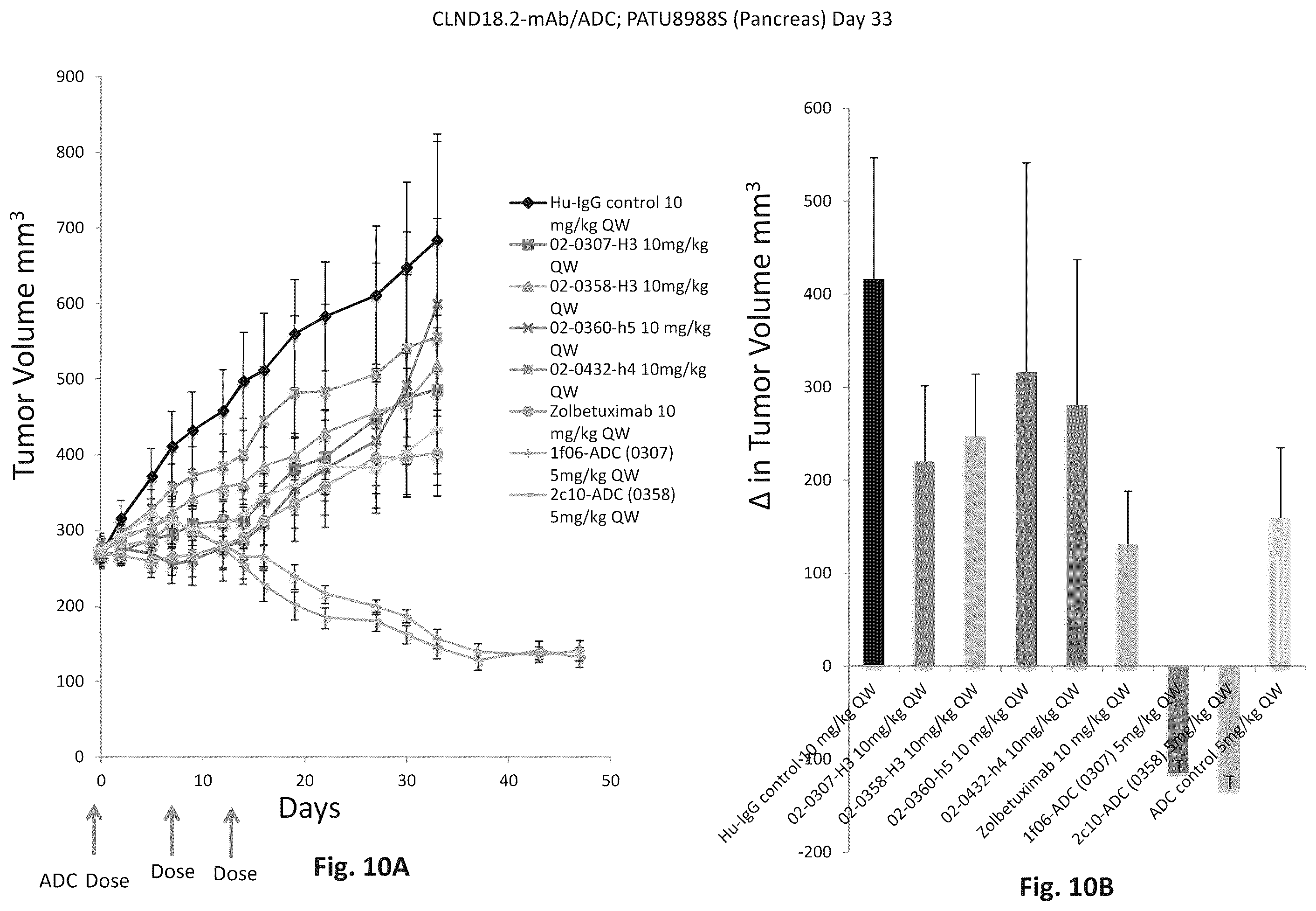 Patent US12345709 Figure 13 – CLAUDIN18 antibodies and methods of treating cancer